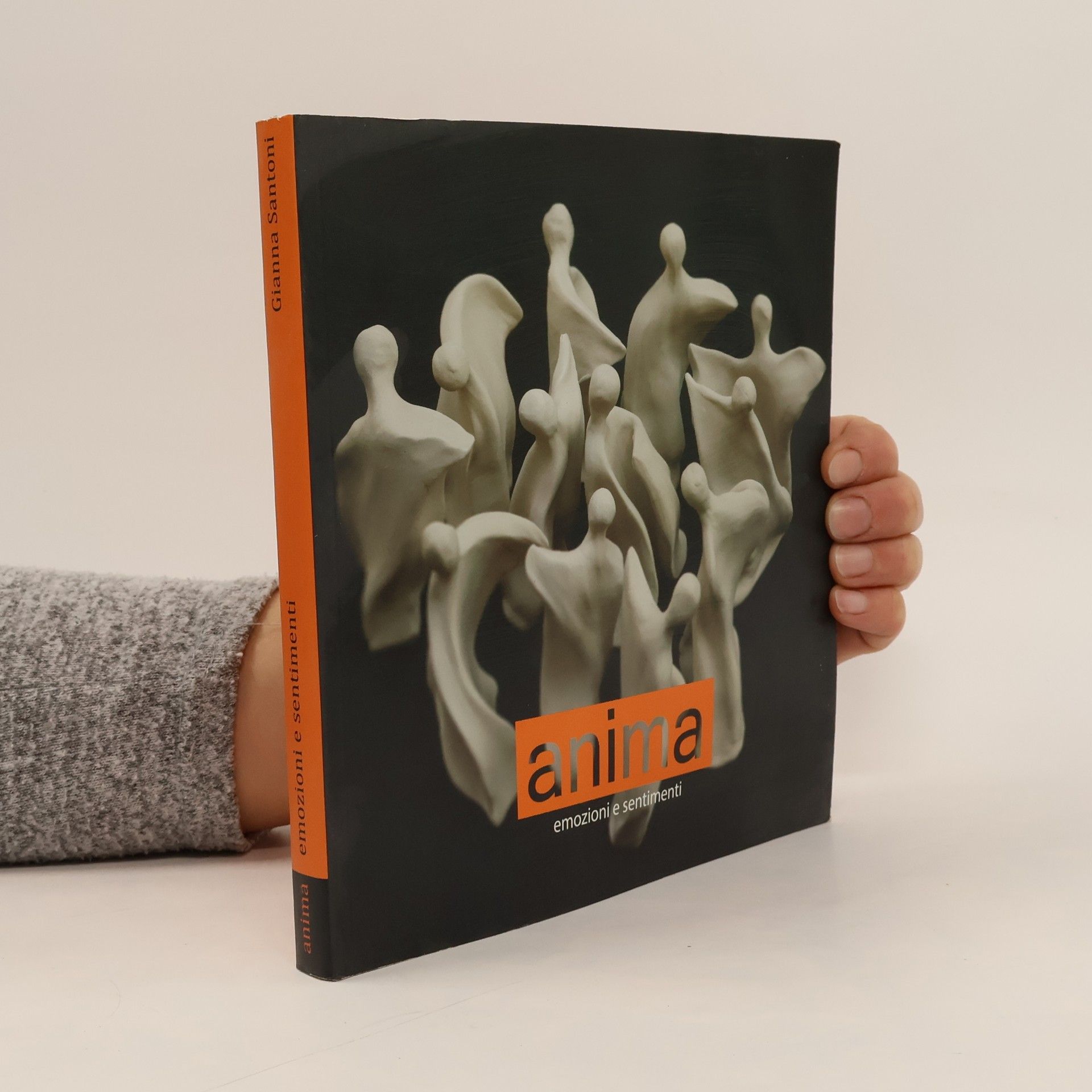 Gianna Santoni Anima. Emozioni e sentimenti