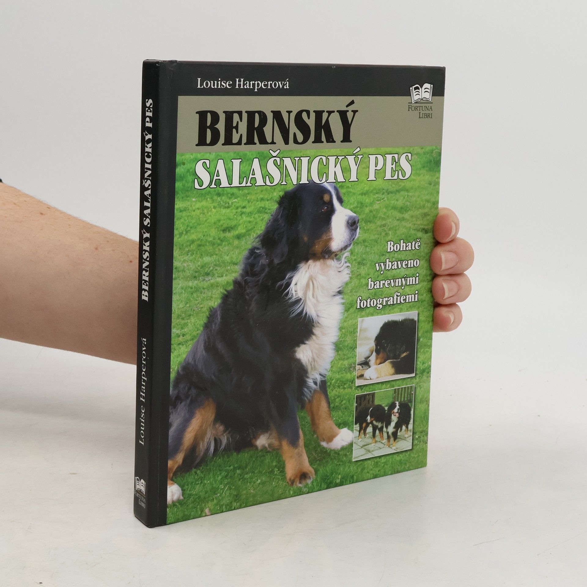 Louise Harper Bernský salašnický pes