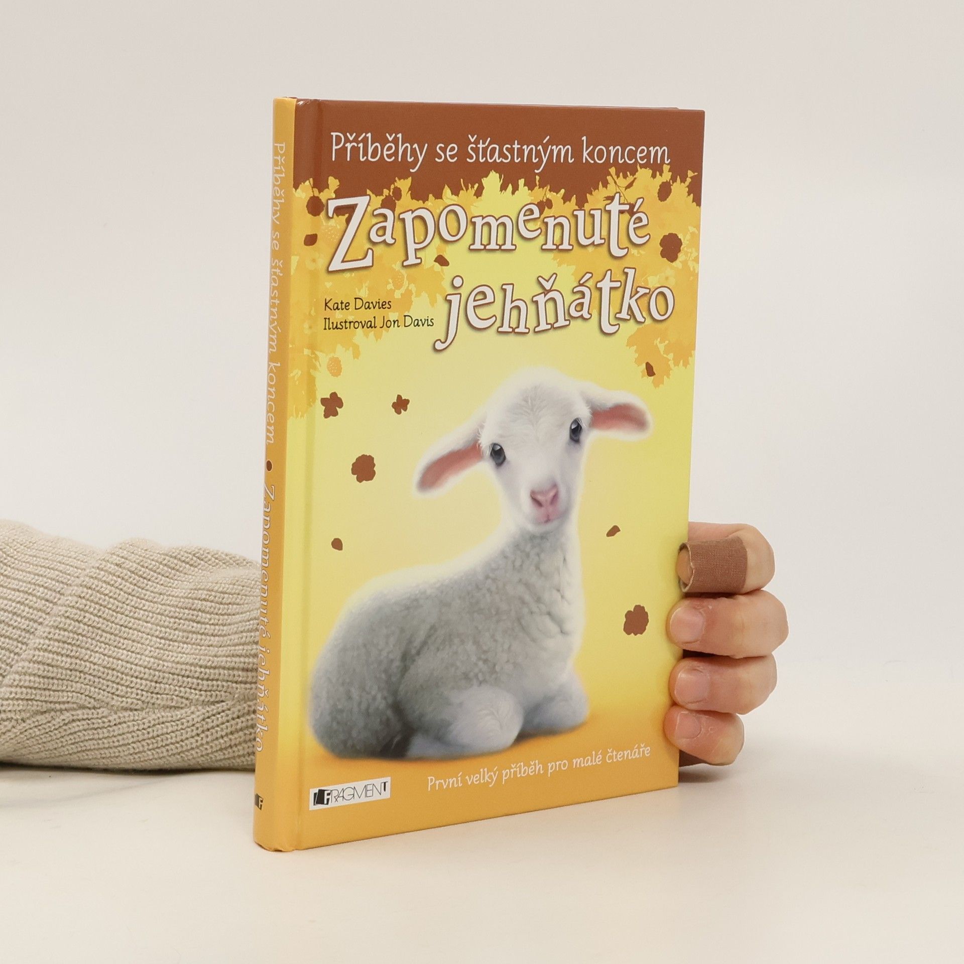 Kate Davies Zapomenuté jehňátko