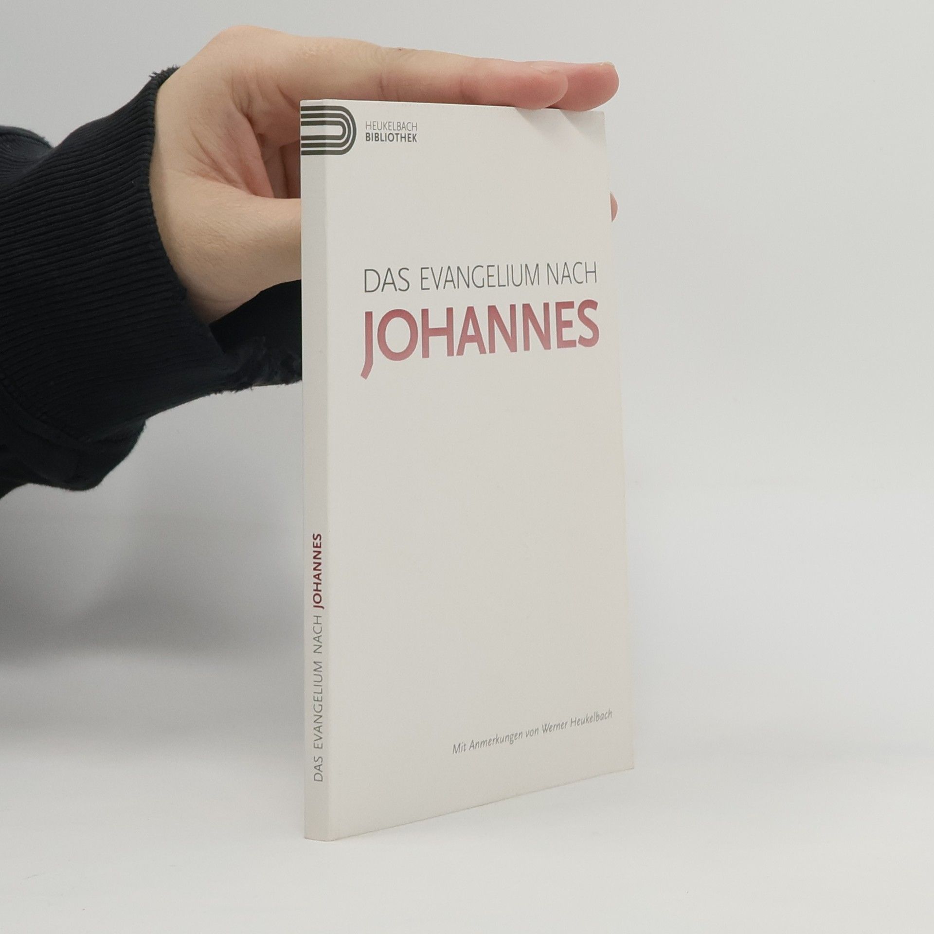 Auteurscollectief Das Evangelium nach Johannes. Mit Erklärungen