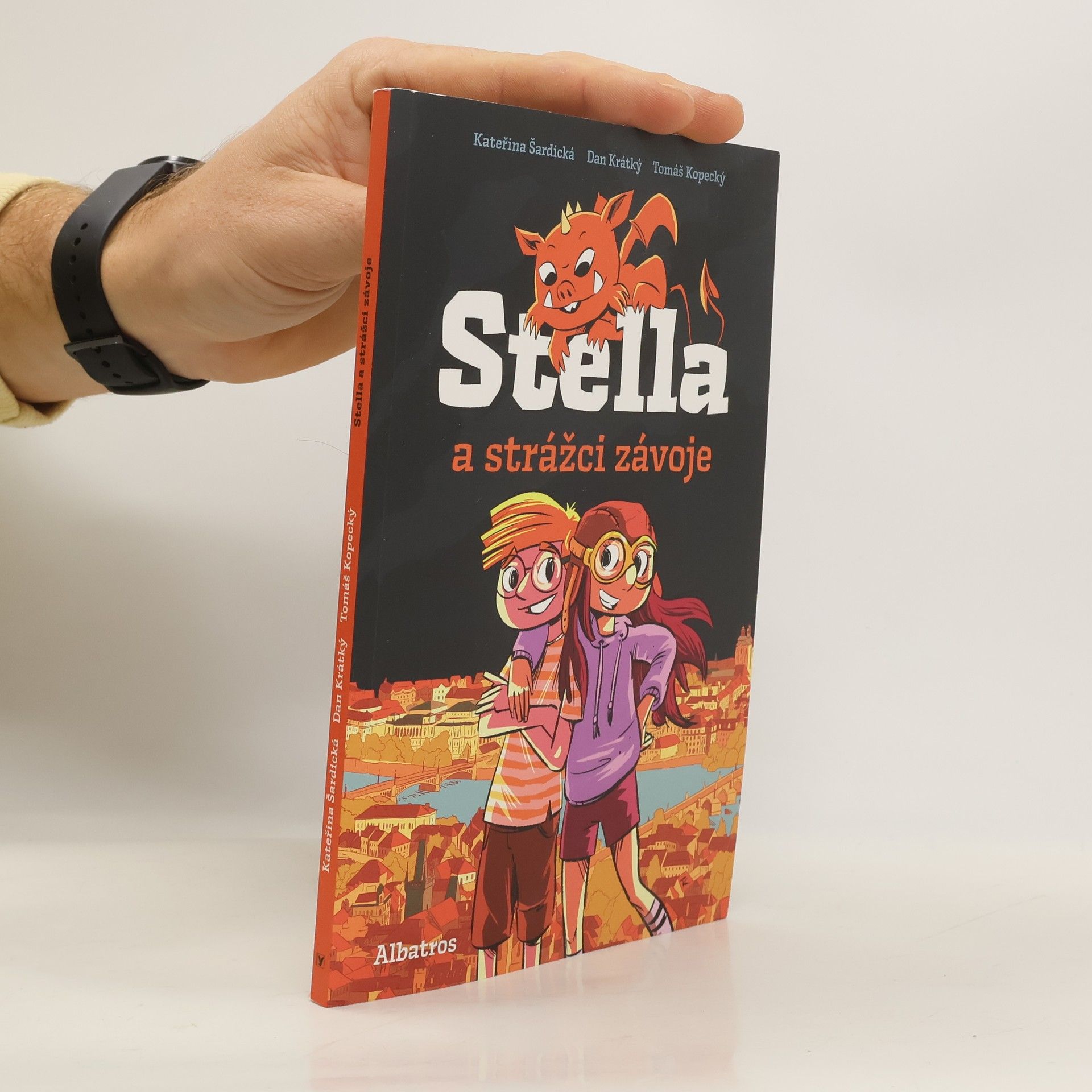 Stella a strážci závoje