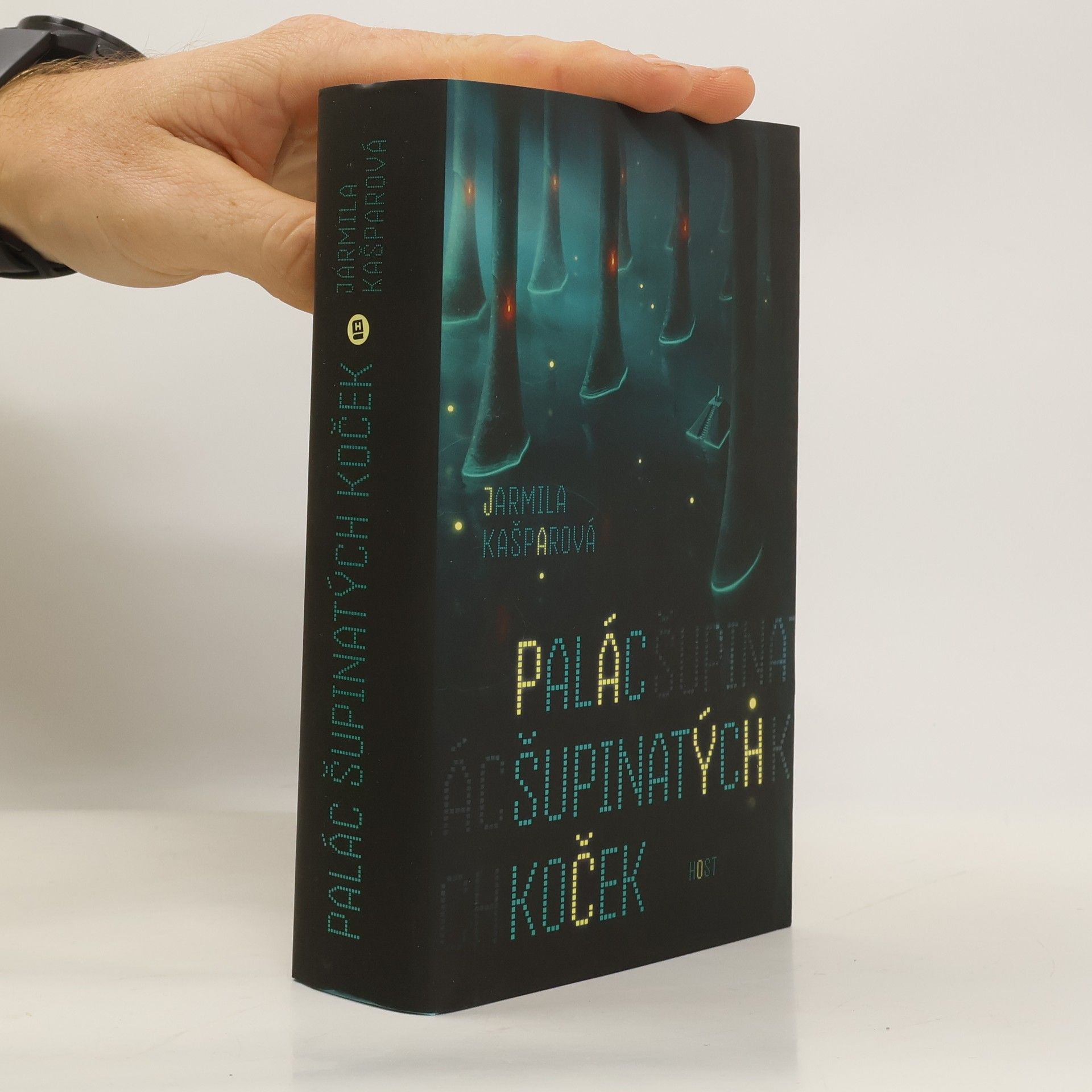 Jarmila Kašparová Palác šupinatých koček
