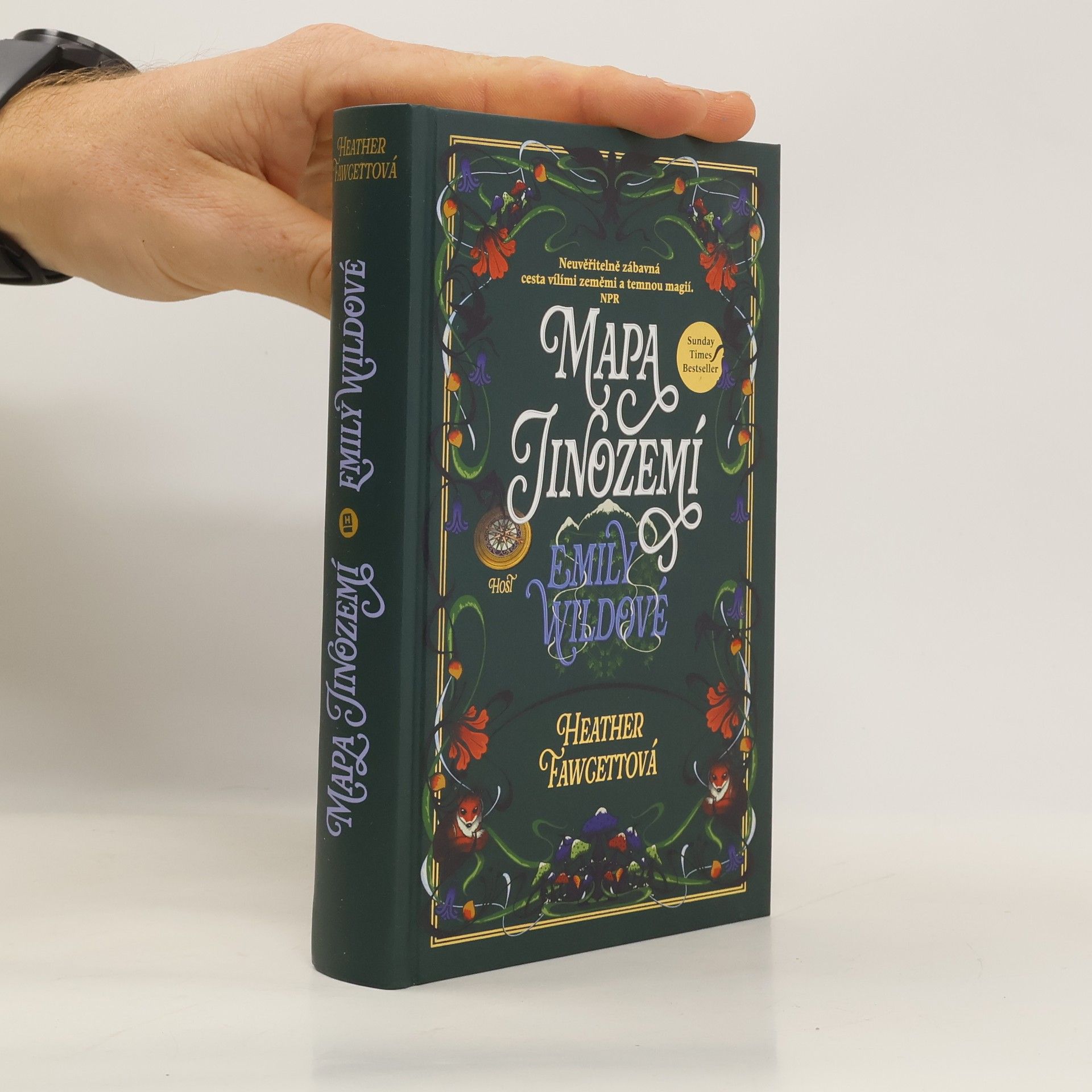 Mapa Jinozemí Emily Wildové