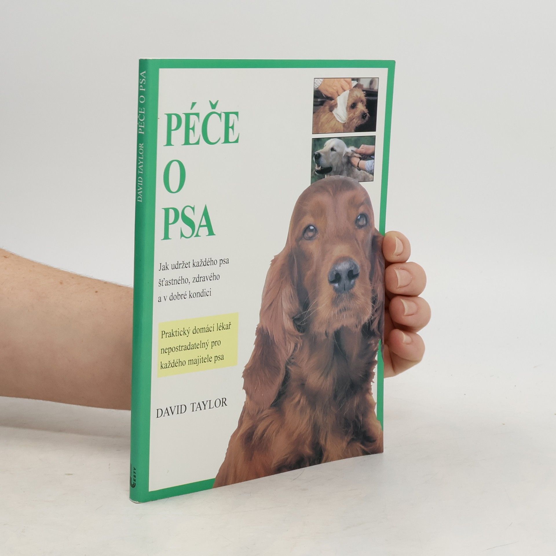 David Conrad Taylor Péče o psa