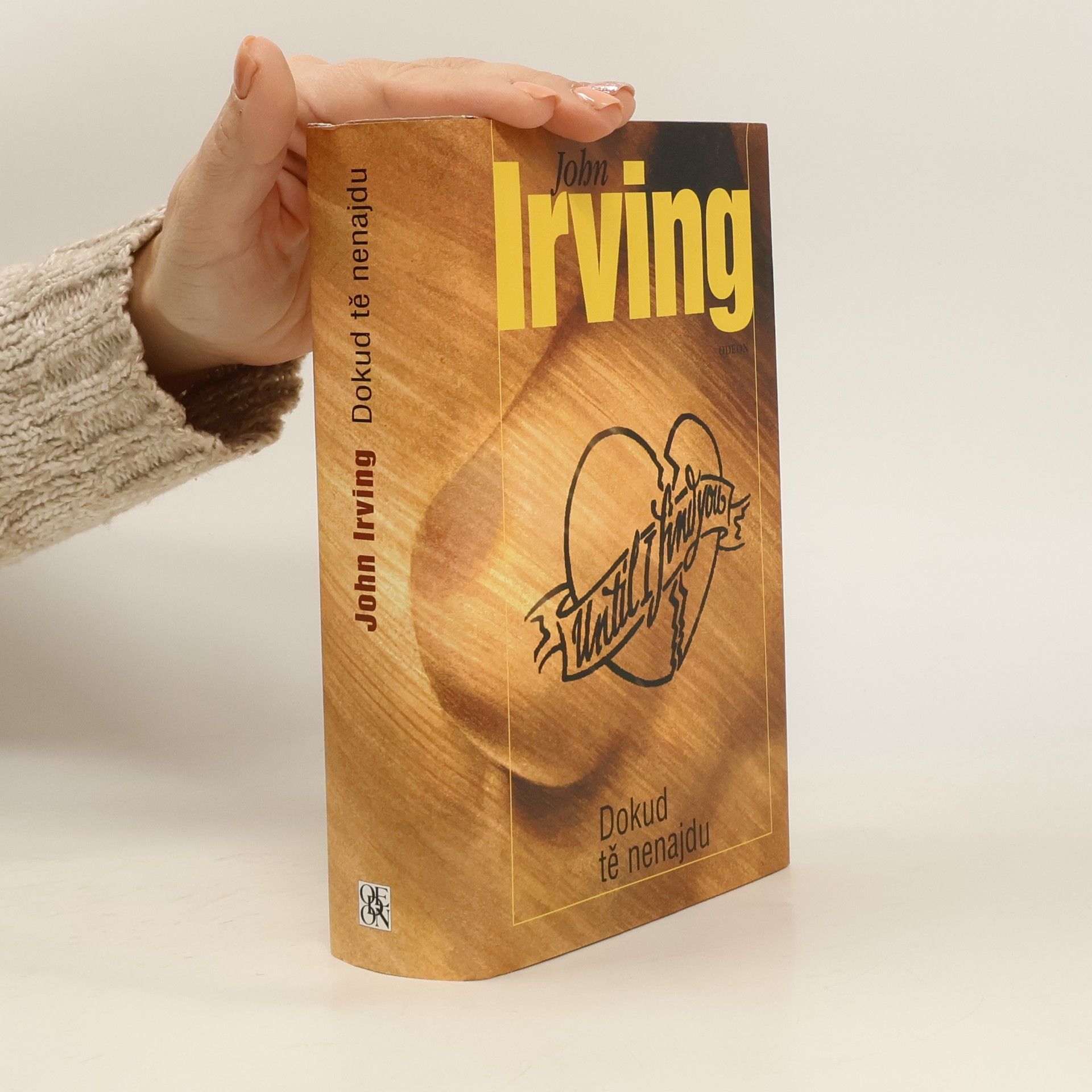 John Irving Dokud tě nenajdu