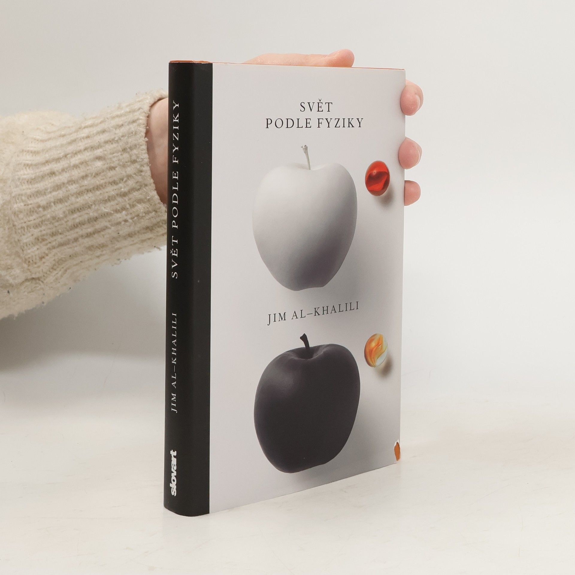 Jim Al Khalili Svět podle fyziky