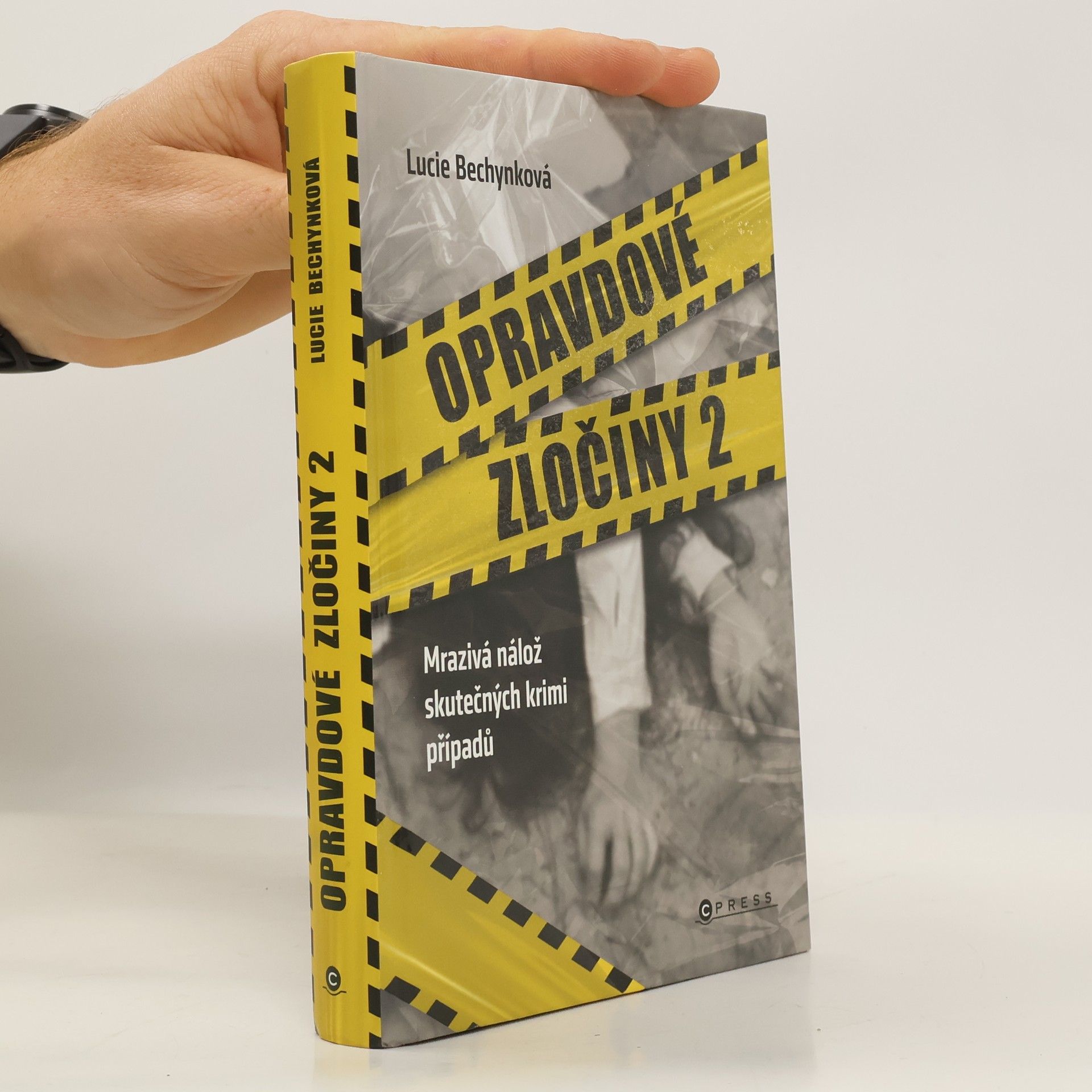 Opravdové zločiny 2