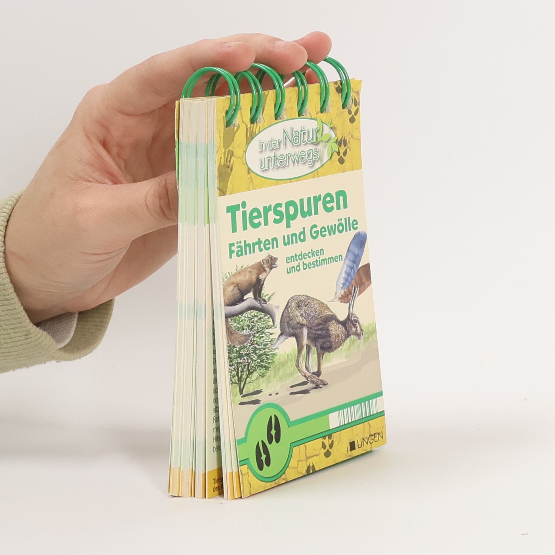 Autorenkollektiv Tierspuren Fährten und Gewölle entdecken und bestimmen