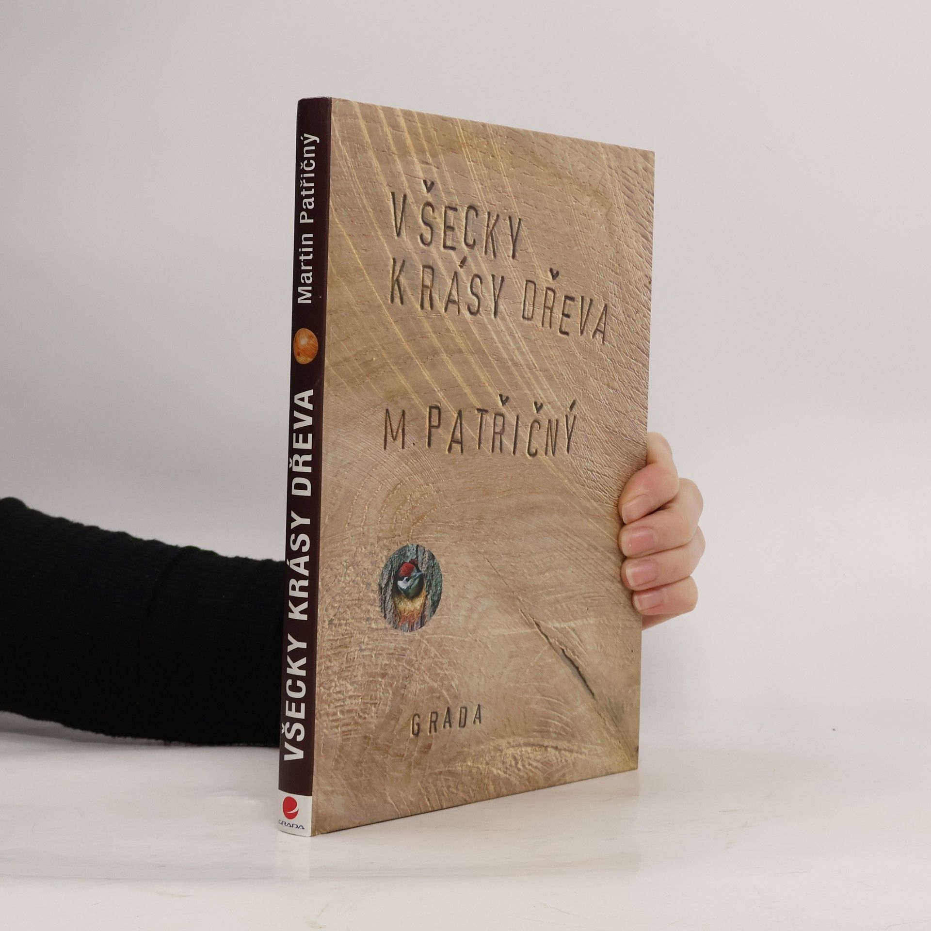 Martin Patřičný Všecky krásy dřeva