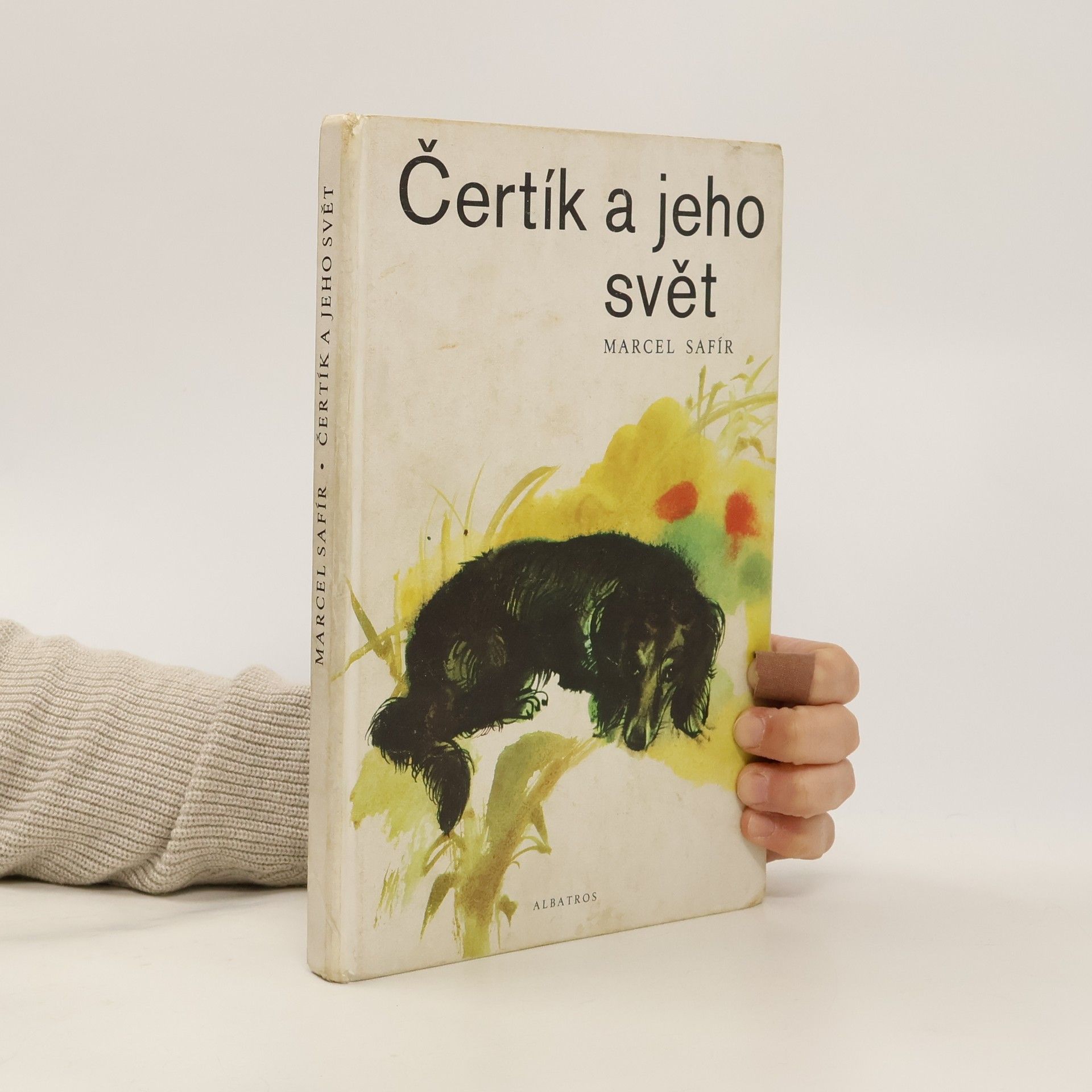 Čertík a jeho svět