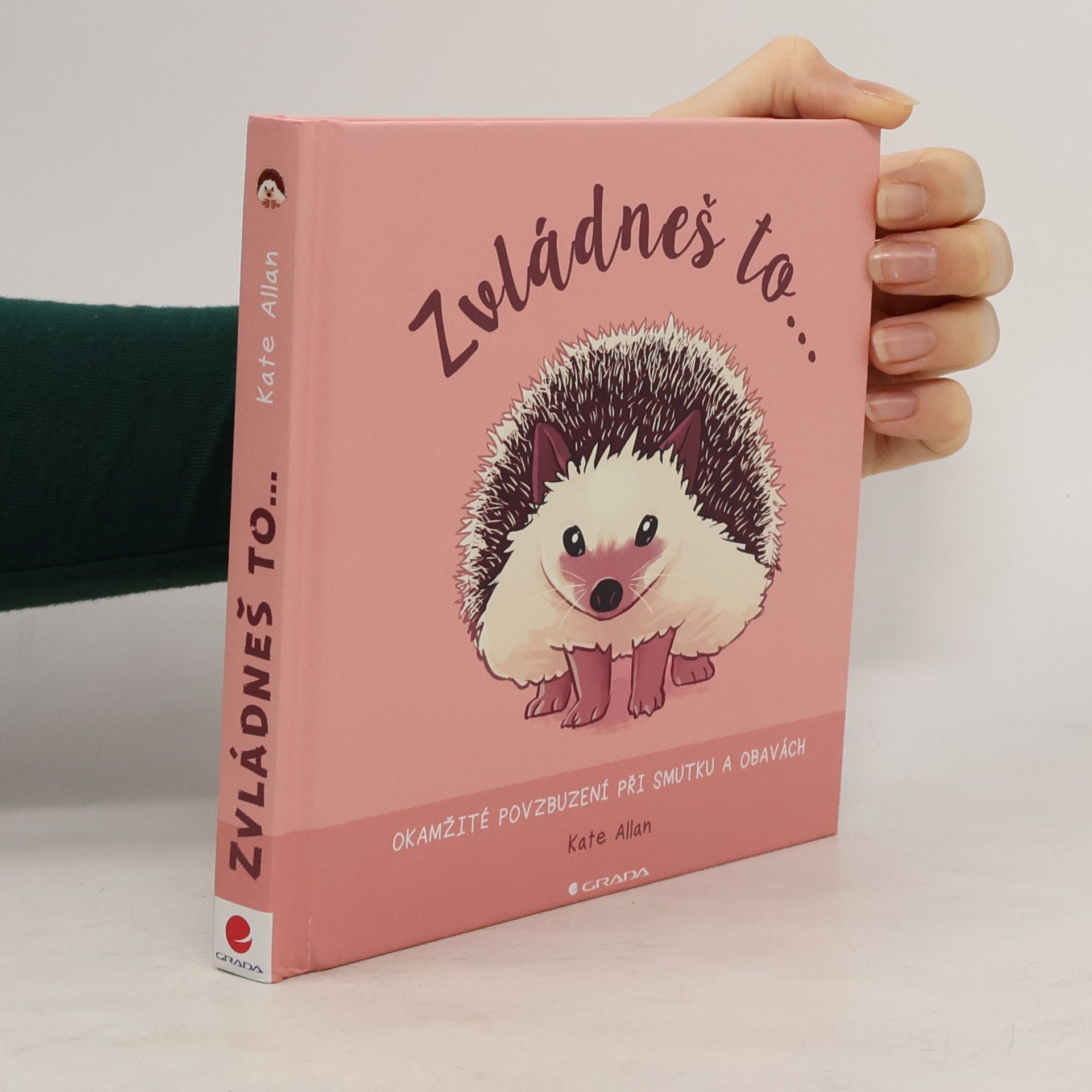 Kate Allan Zvládneš to... Okamžité povzbuzení při smutku a obavách
