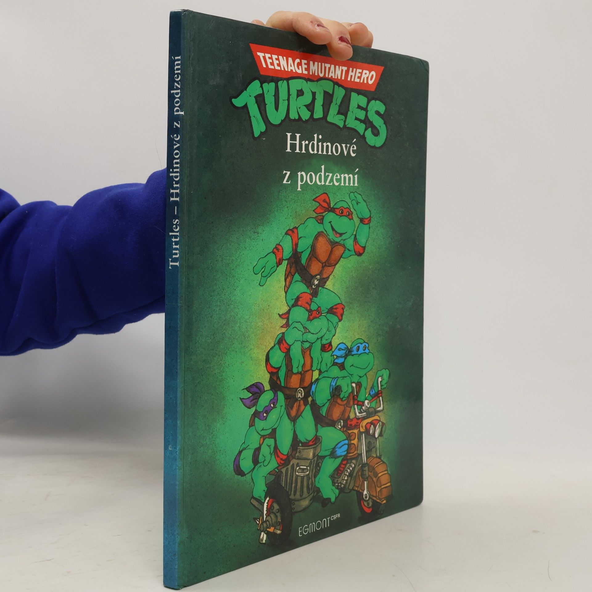 Teenage Mutant Ninja Turtles. Hrdinové z podzemí