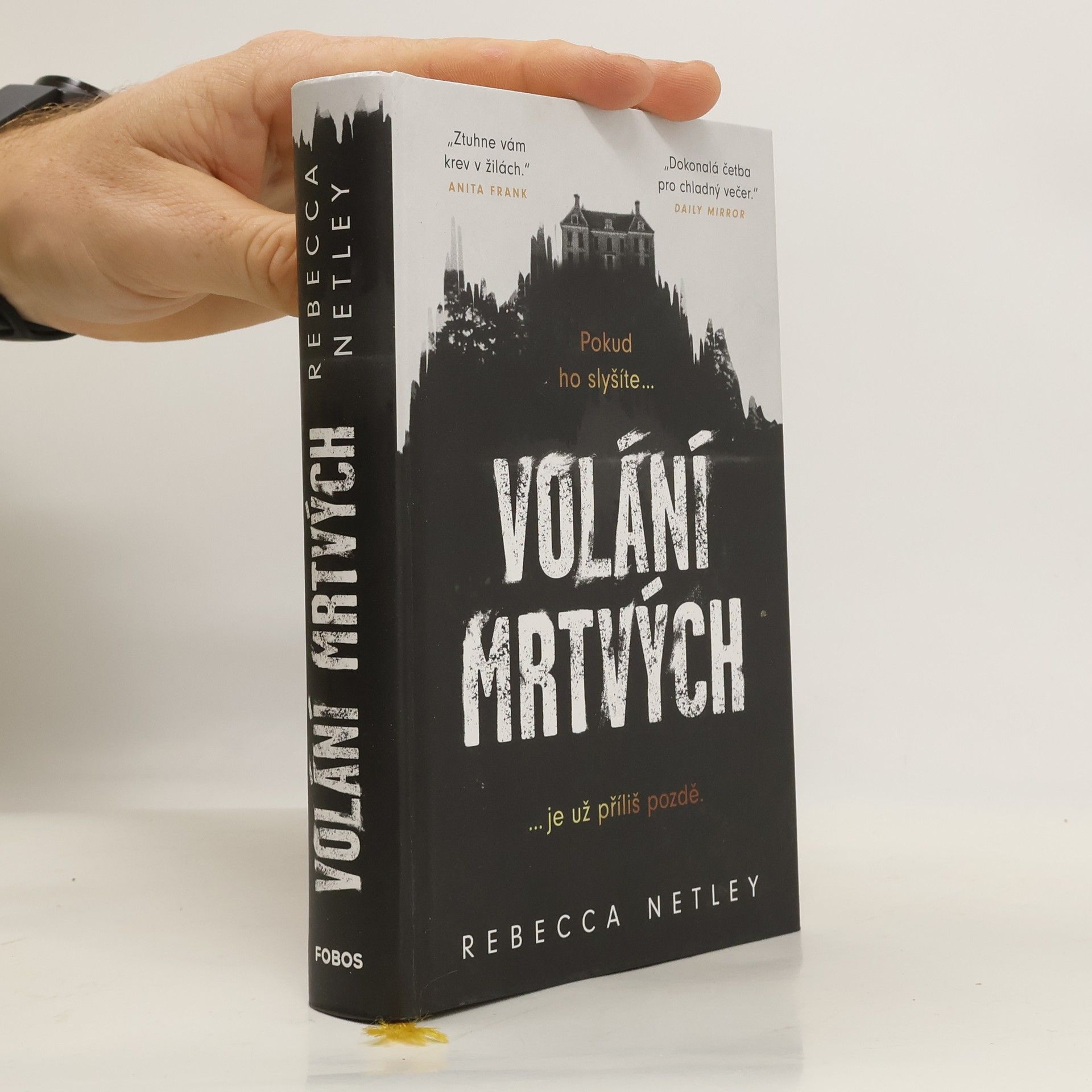 Rebecca Netley Volání mrtvých