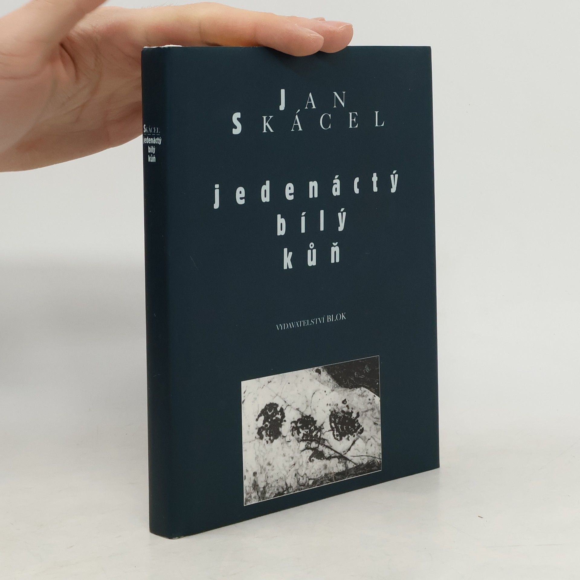 Jedenáctý bílý kůň