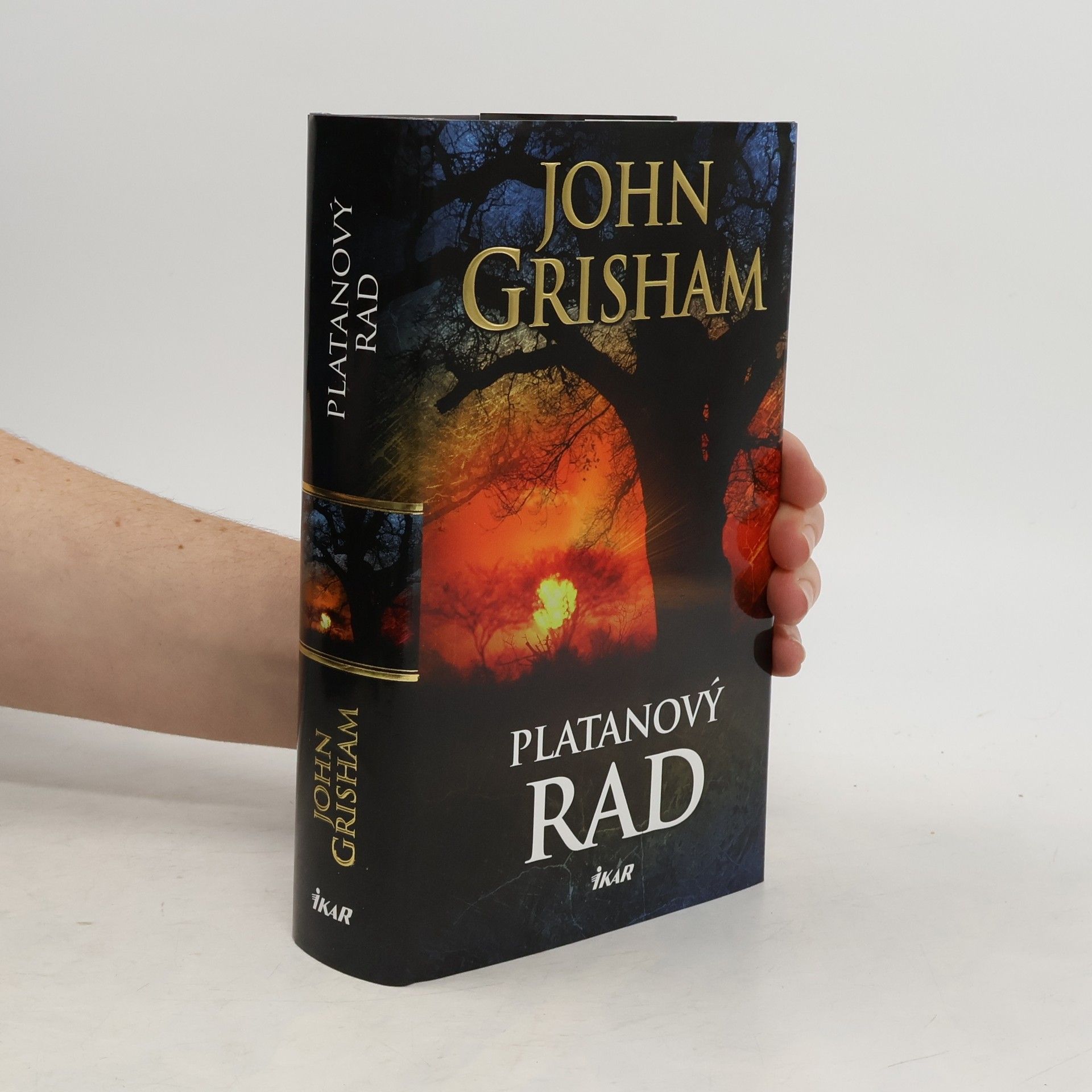 John Grisham Platanový rad
