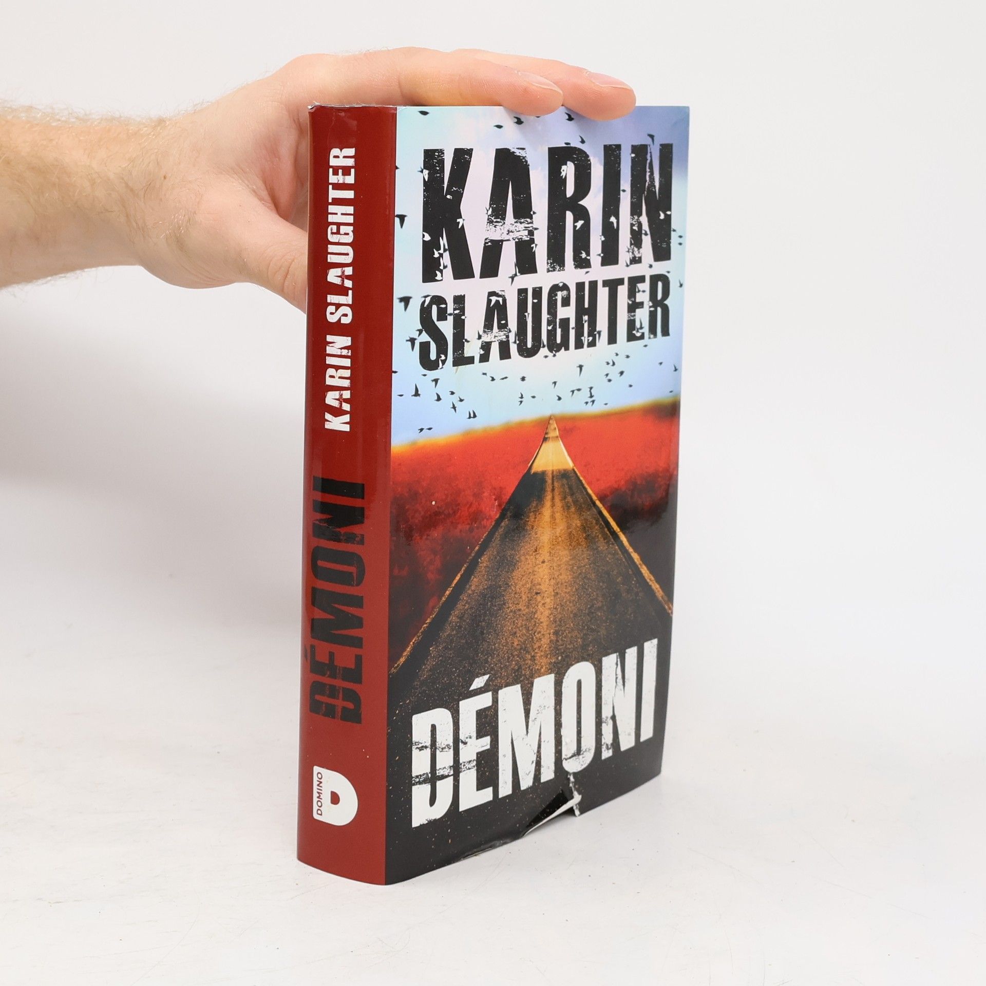 Karin Slaughter Démoni