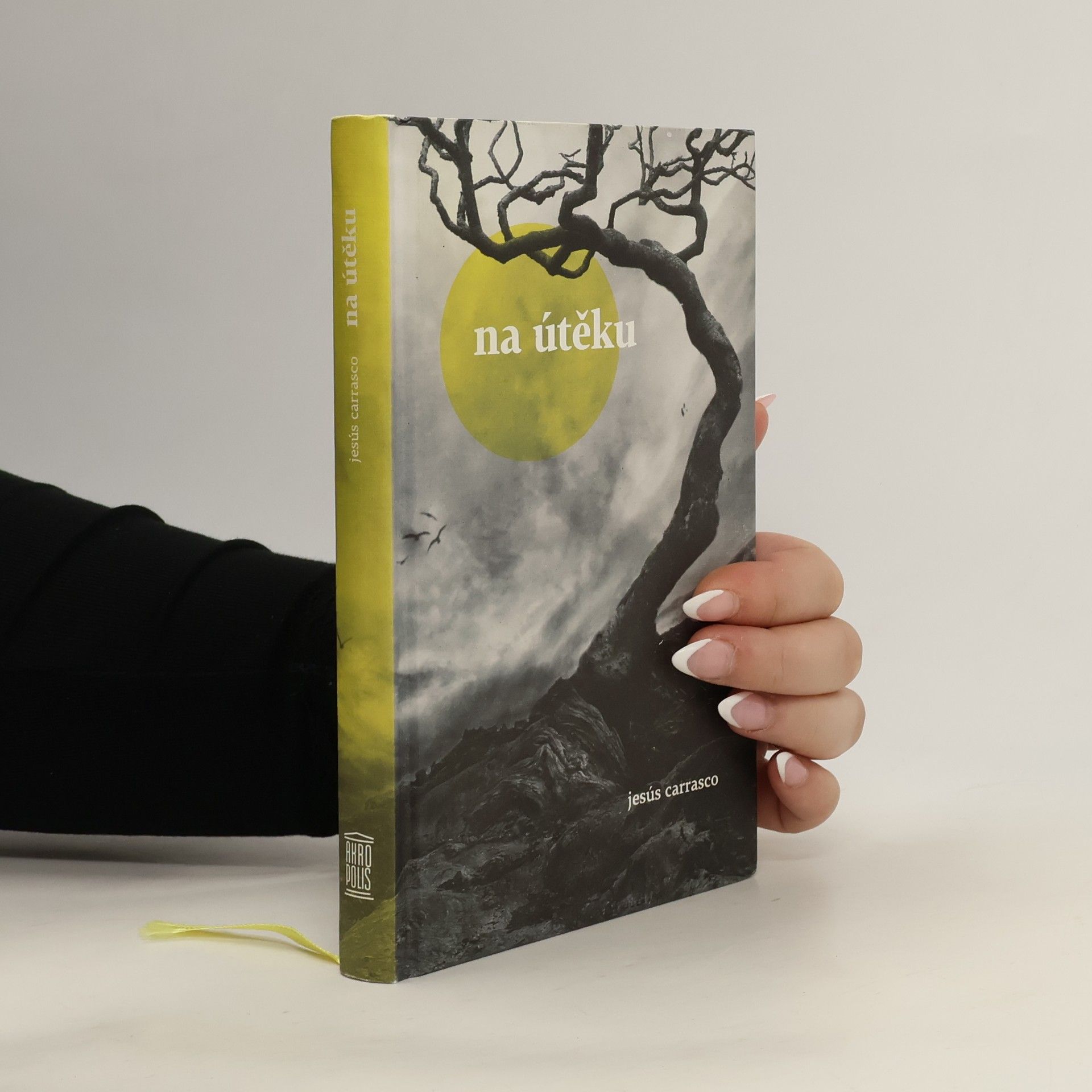 Jesús Carrasco Na útěku