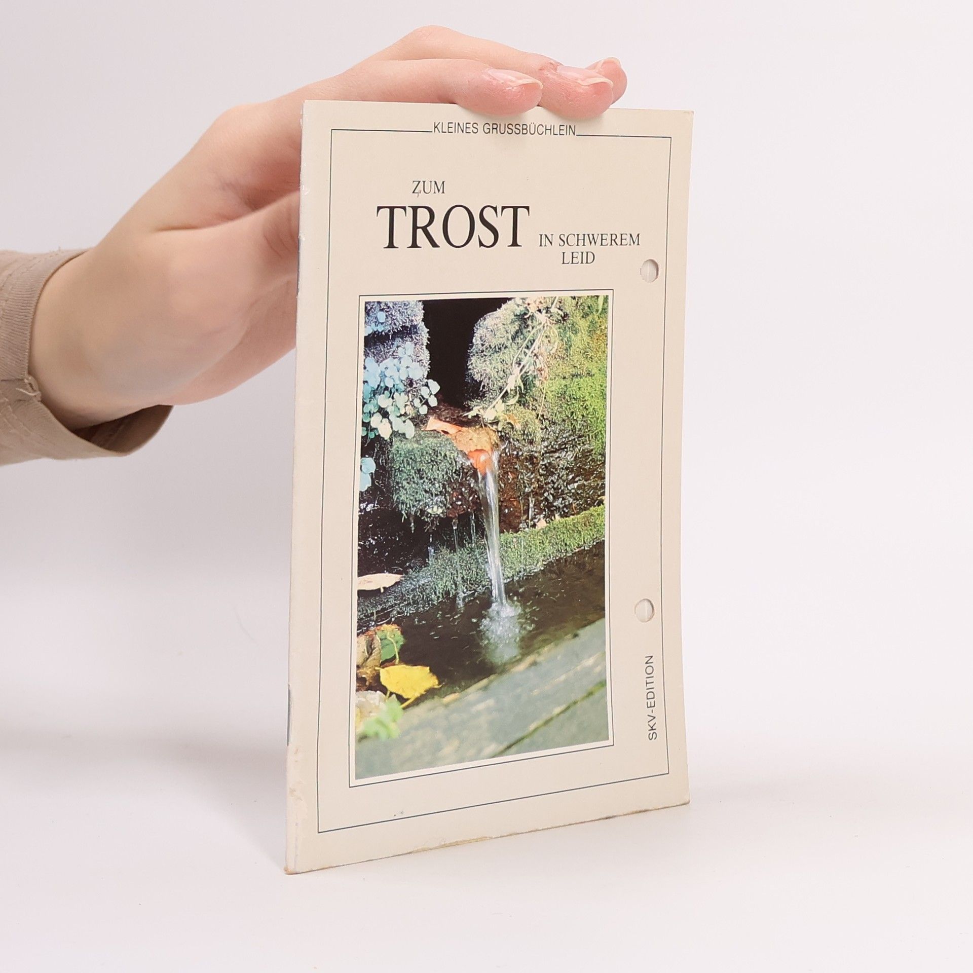 Collectif d'auteurs Zum Trost in schwerem Leid