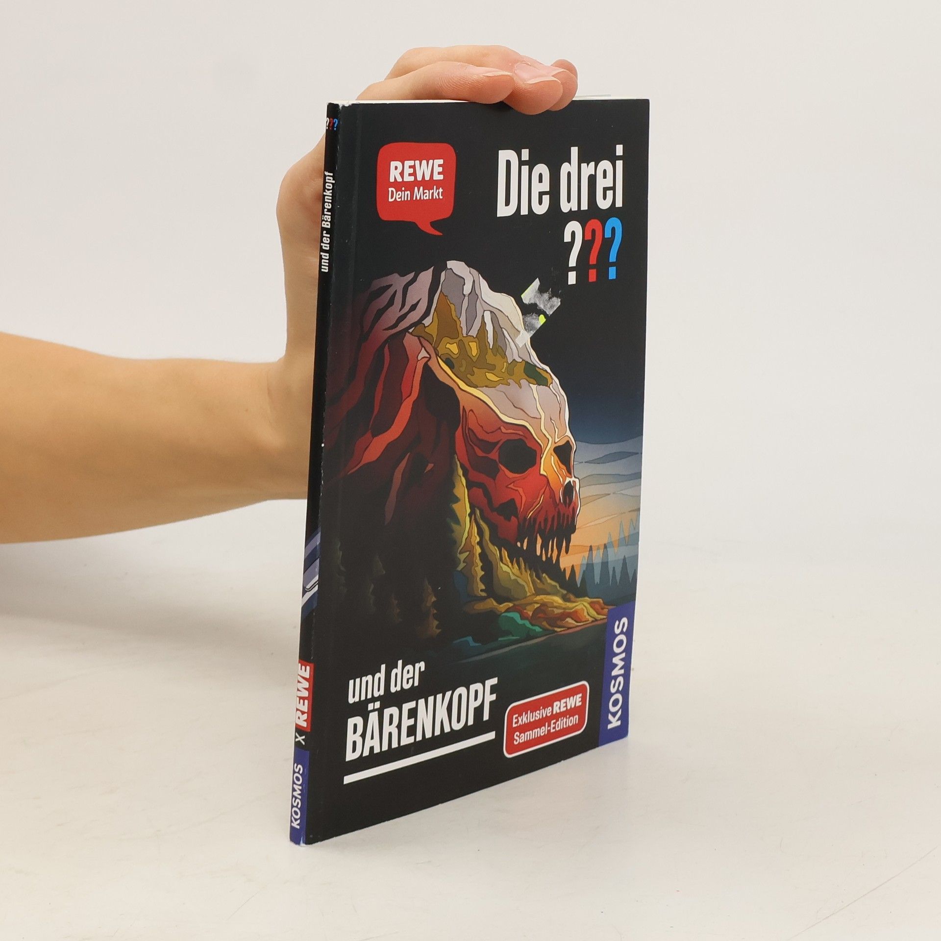 Andreas Ruch Die drei ??? und der Bärenkopf