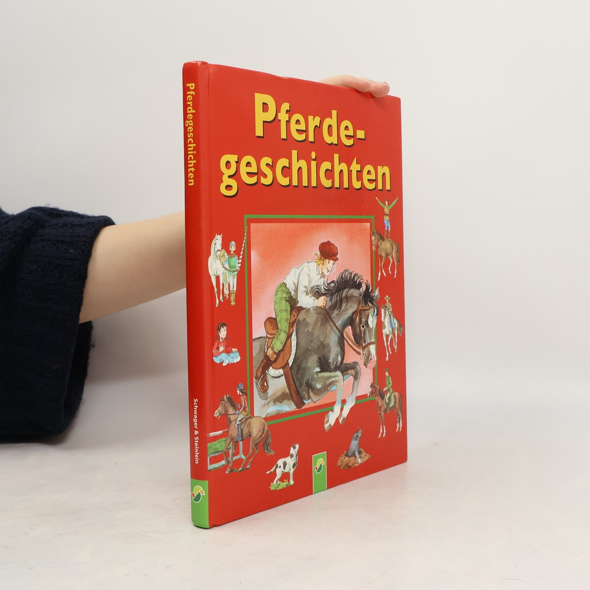 Kolektiv autorů Pferde geschichten