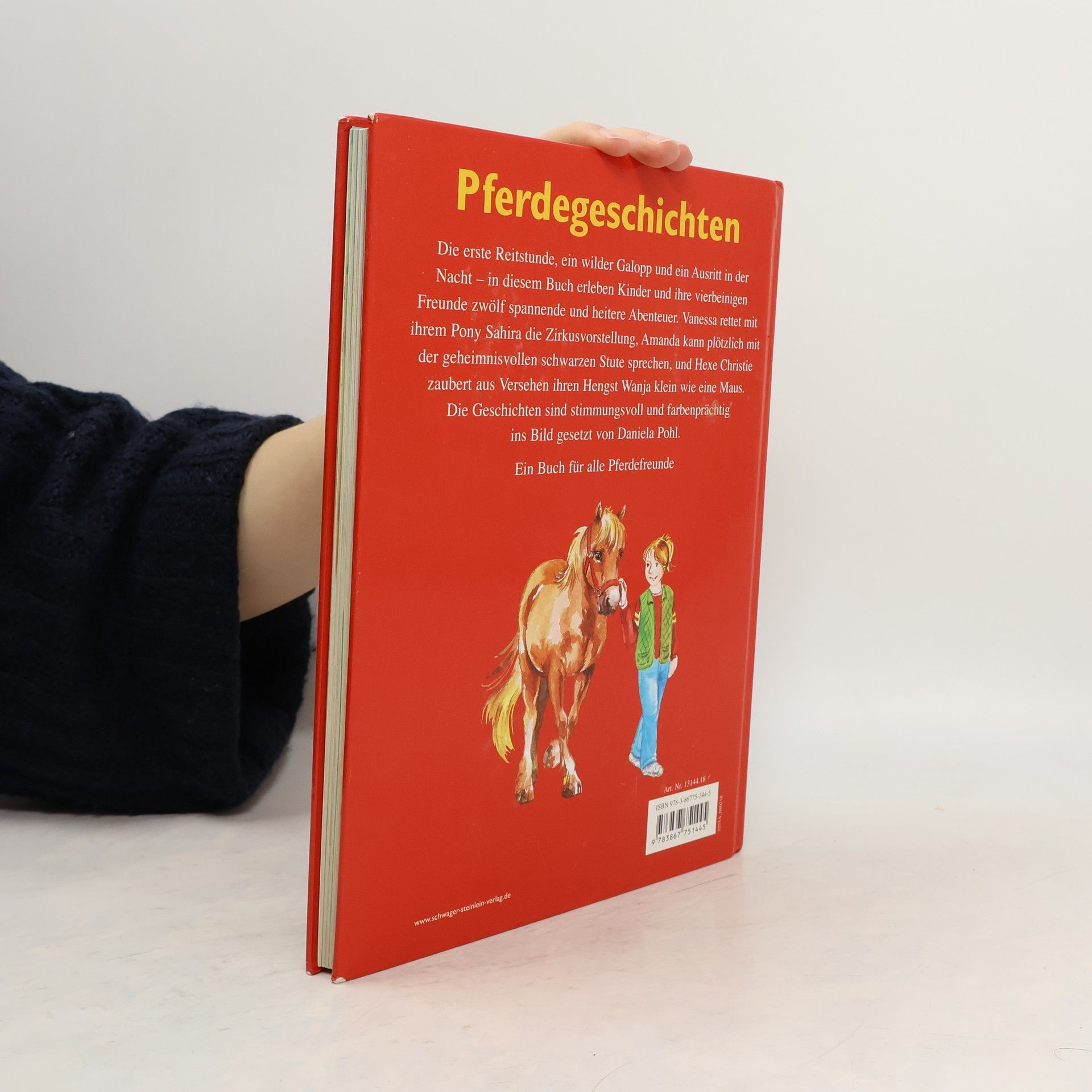Kolektiv autorů Pferde geschichten