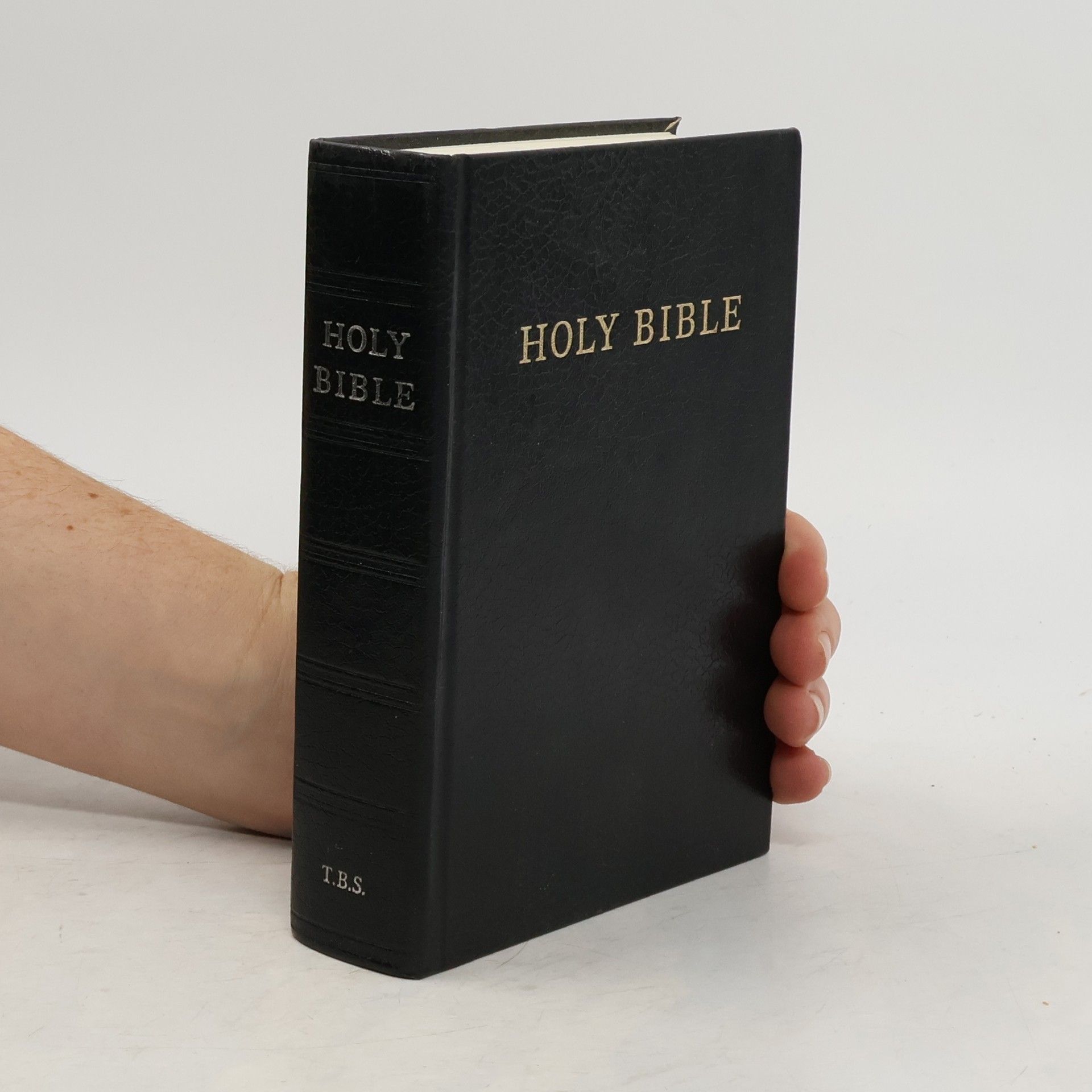 AA.VV. Holy bible