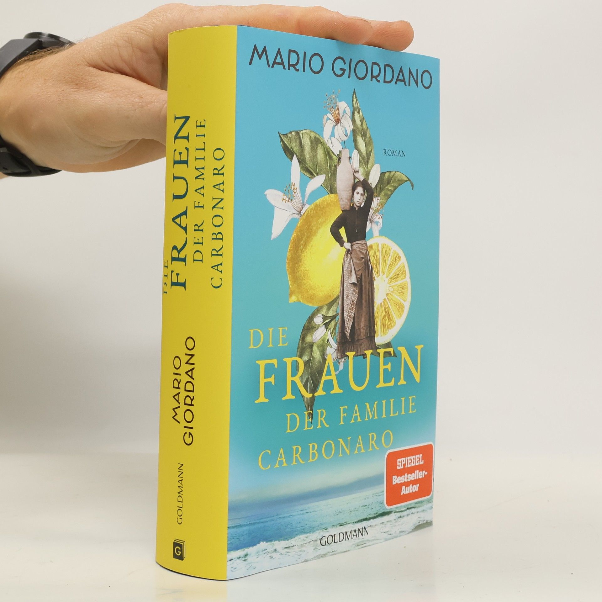 Die Frauen der Familie Carbonaro / Die Carbonaro-Saga Bd.2