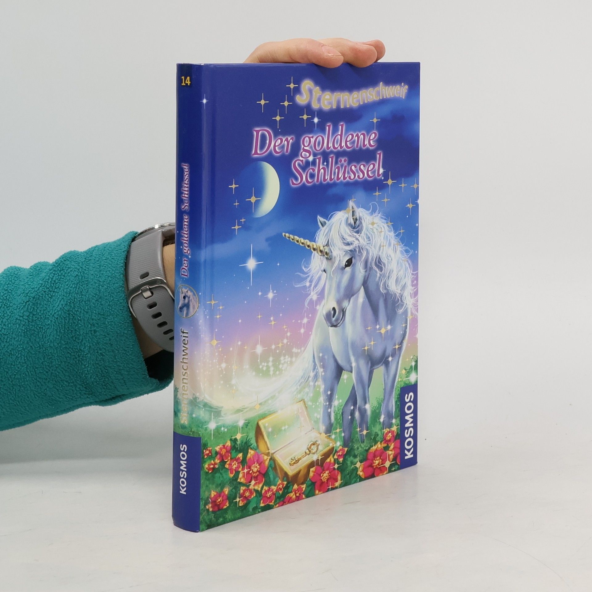Linda Chapman Sternenschweif. Der goldene Schlüssel 14
