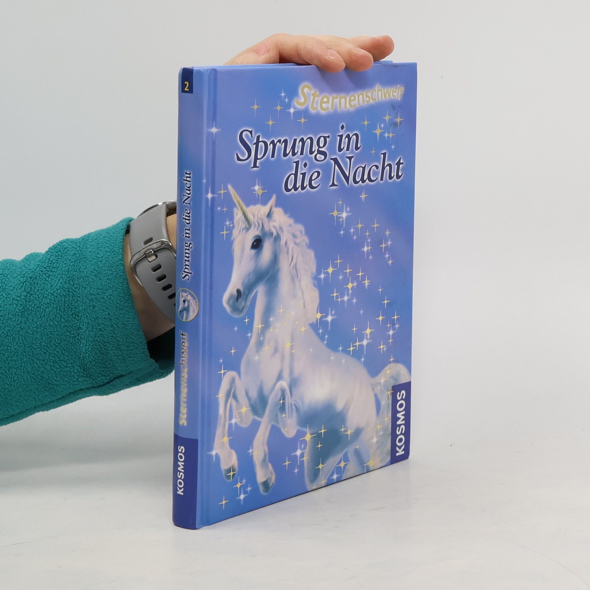 Linda Chapman Sprung in die Nacht