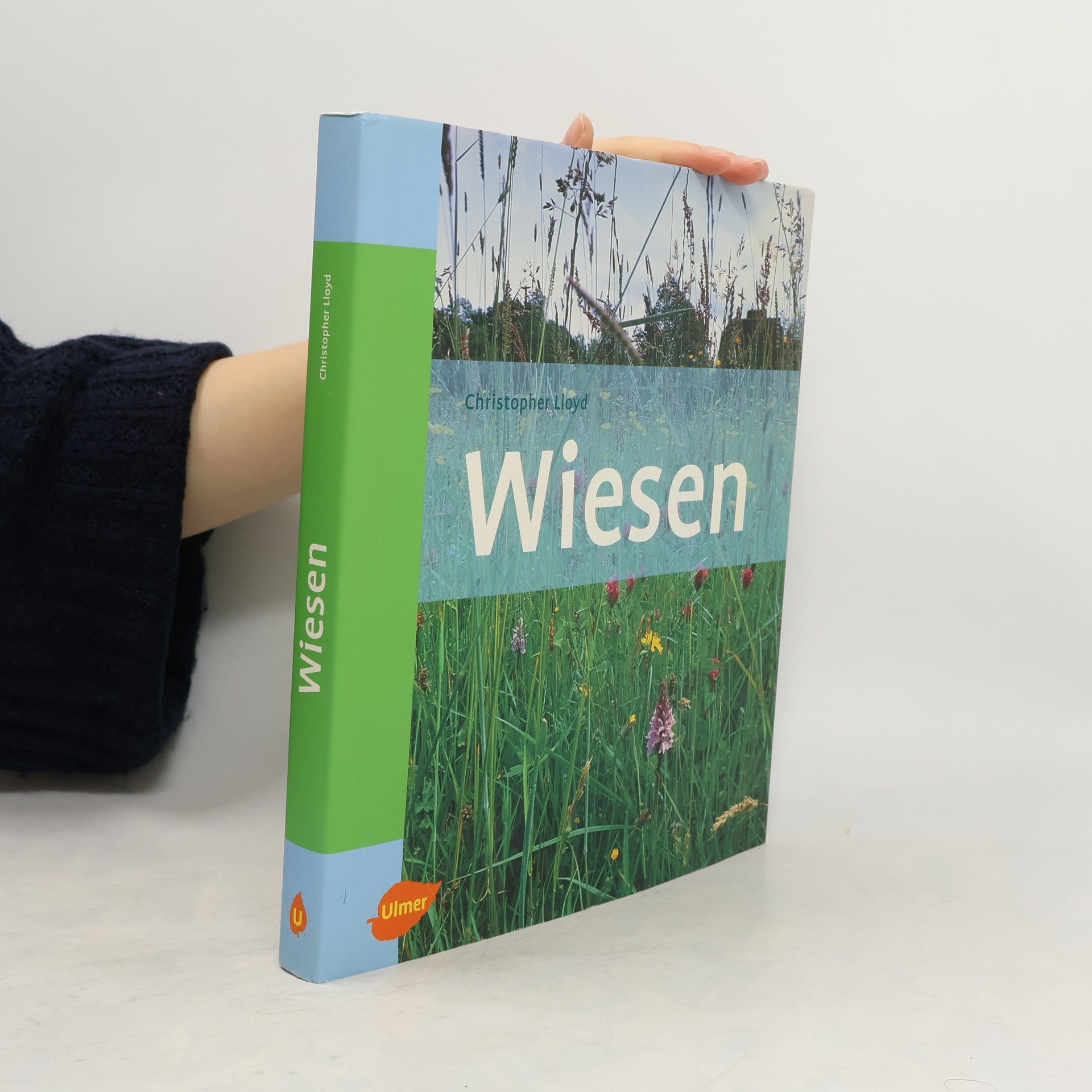 Christopher Lloyd Wiesen