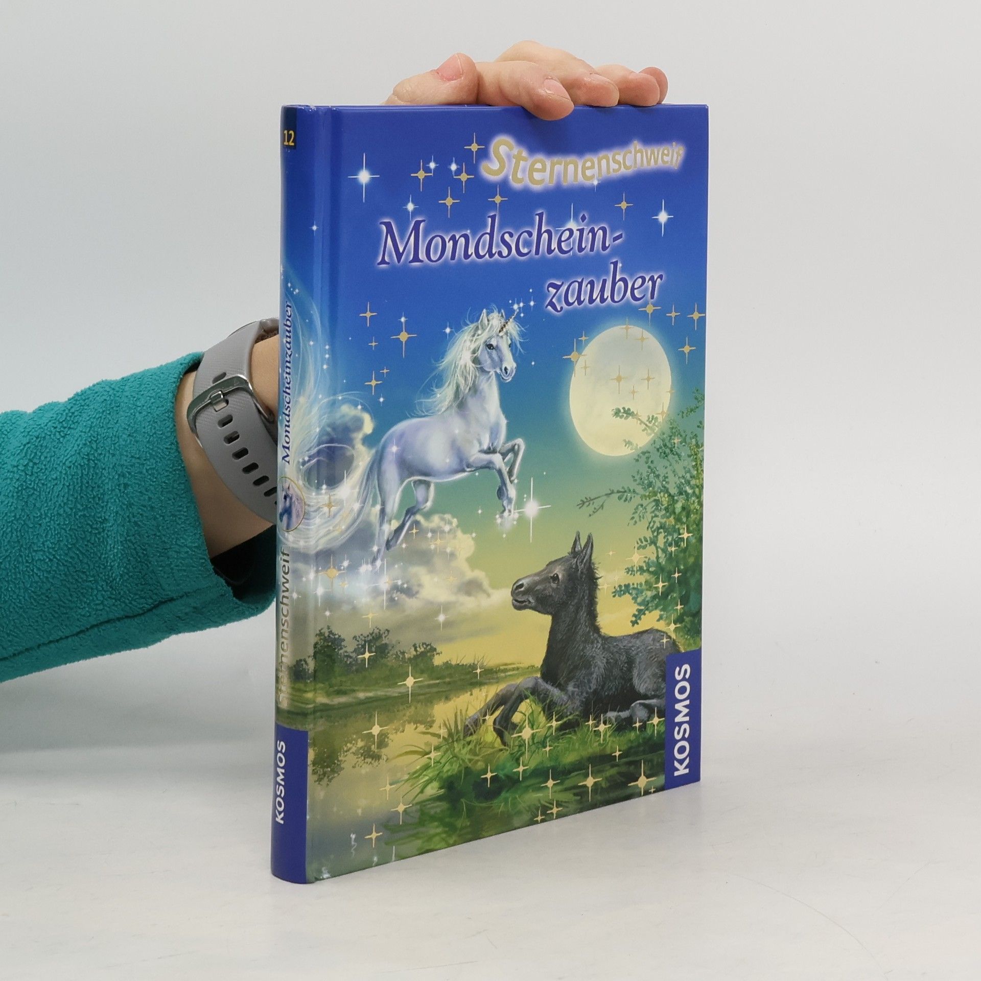 Linda Chapman Sternenschweif. Mondscheinzauber 12