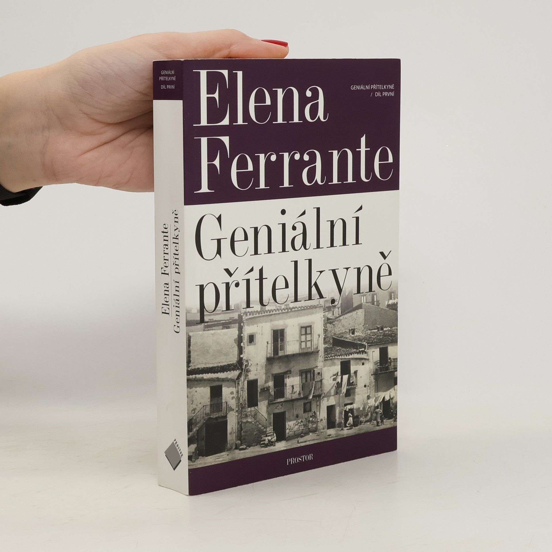 Geniální přítelkyně 1. Dětství a dospívání