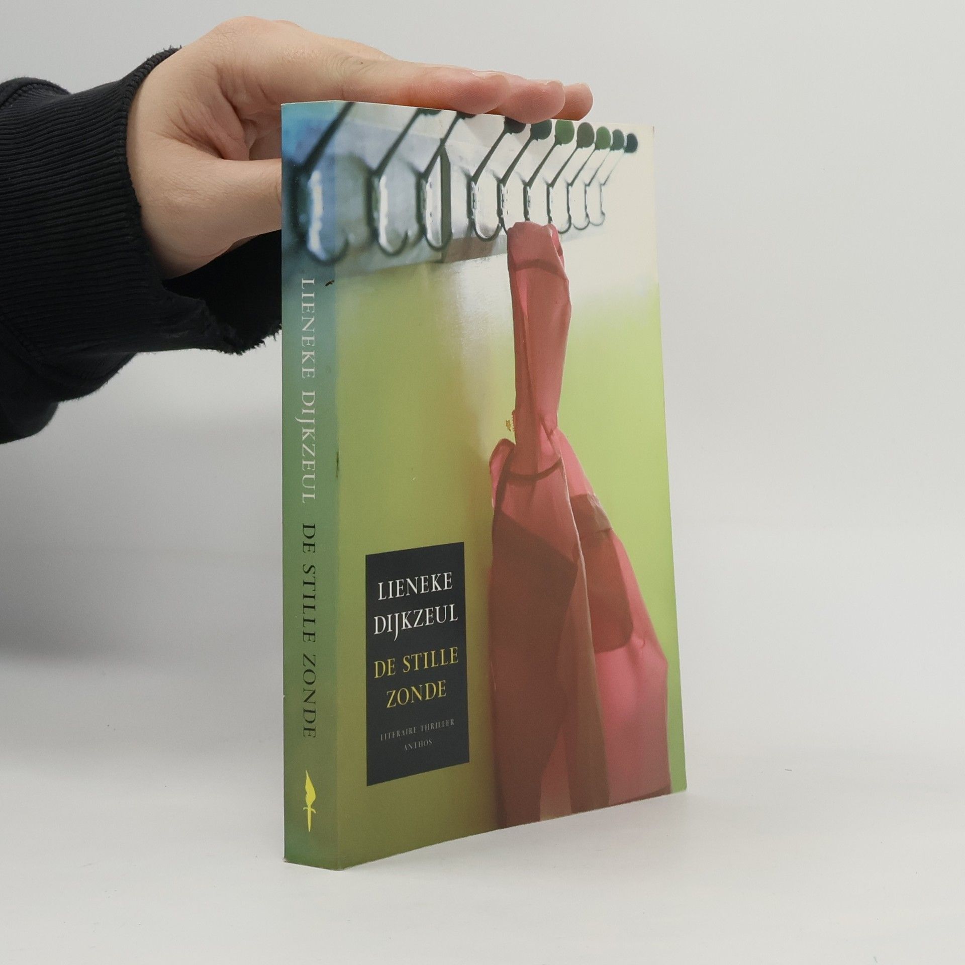 Lieneke Dijkzeul De stille zonde / druk 12