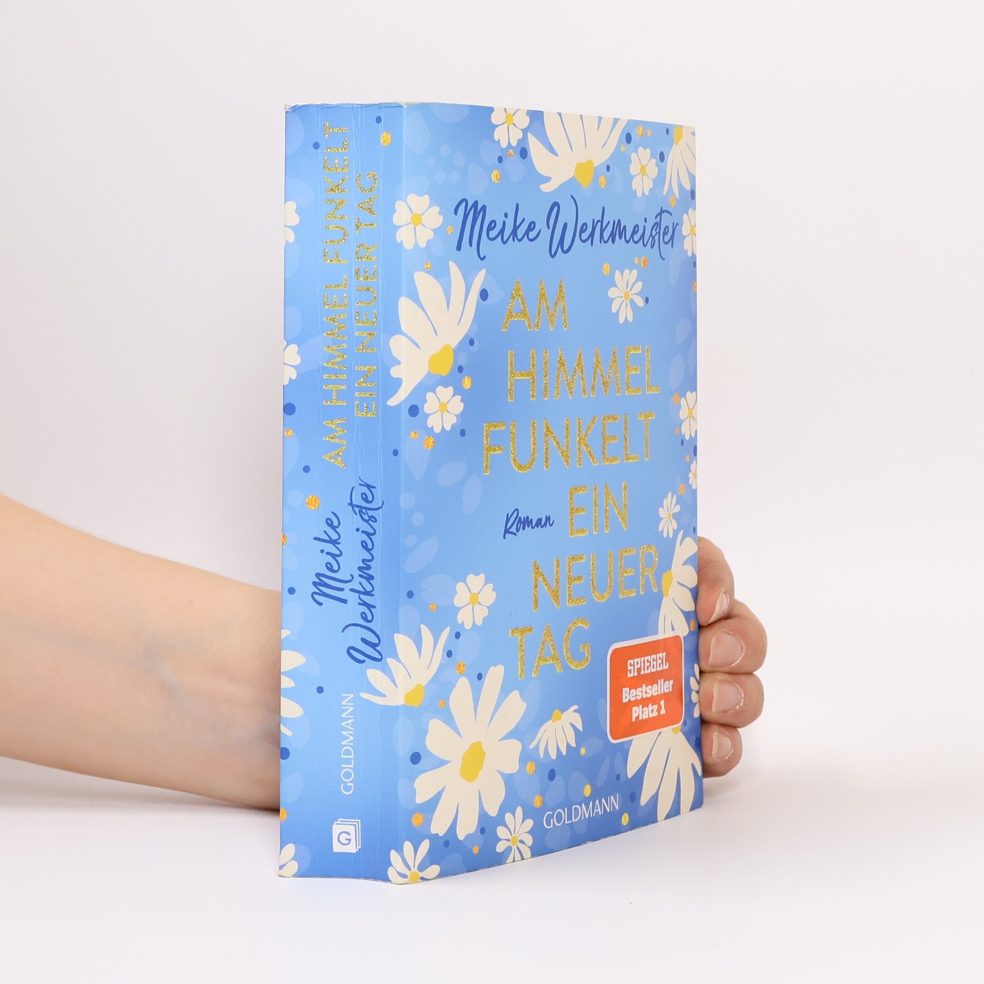 Meike Werkmeister Am Himmel funkelt ein neuer Tag