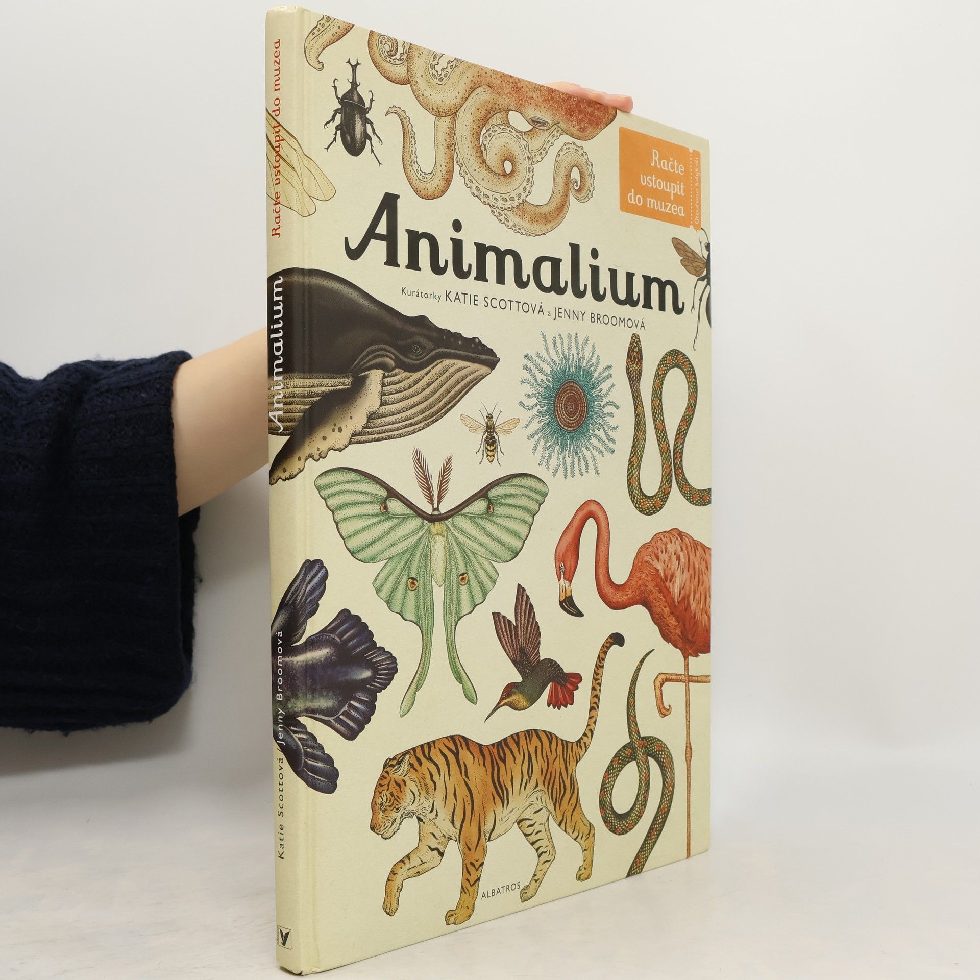 Katie Scott Animalium