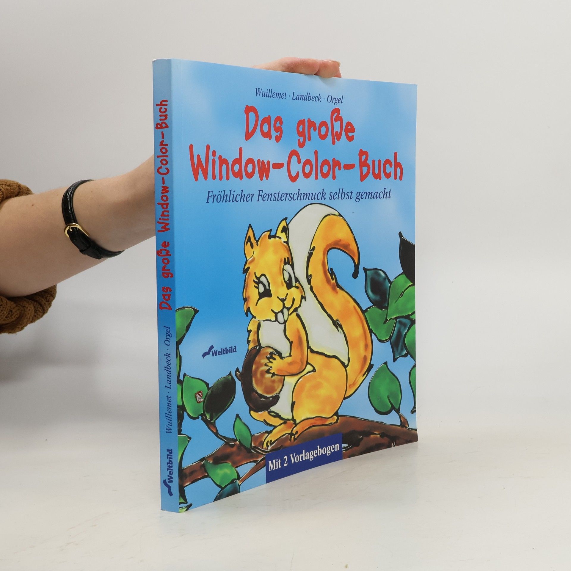 AA.VV. Das große Window-Color-Buch