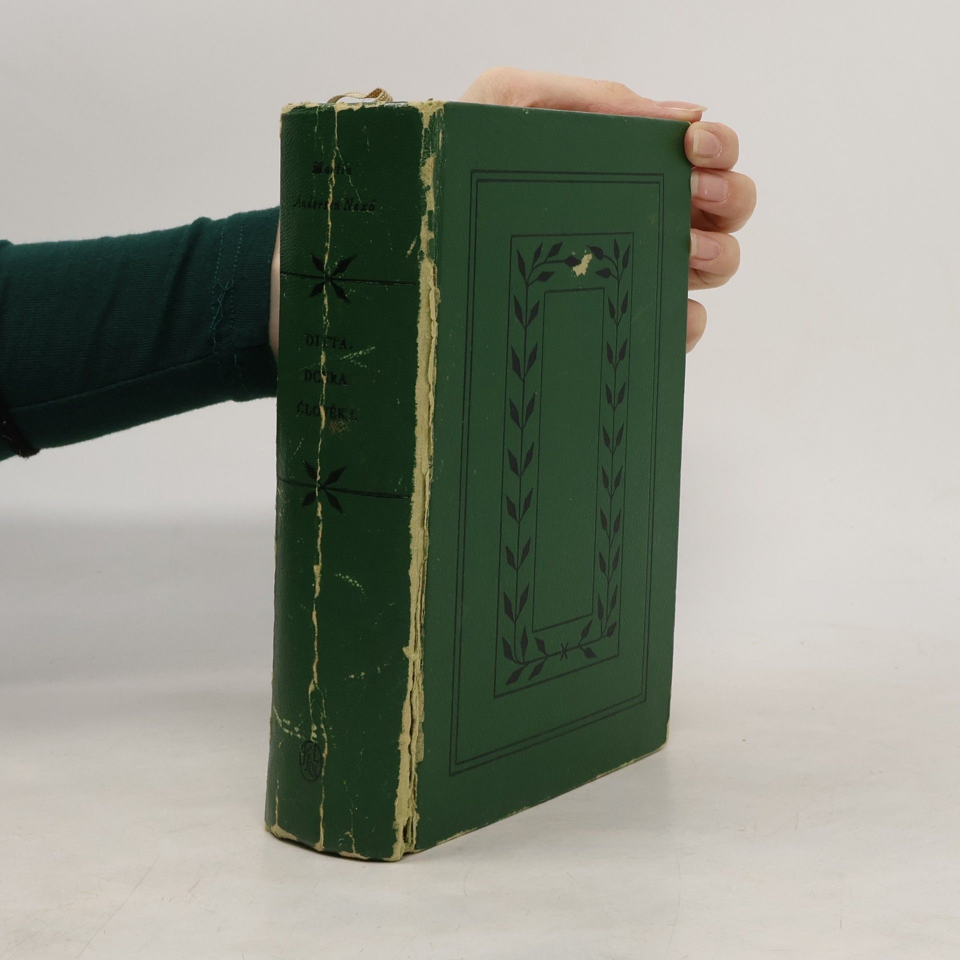 Martin Andersen Nexø Ditta, dcera člověka