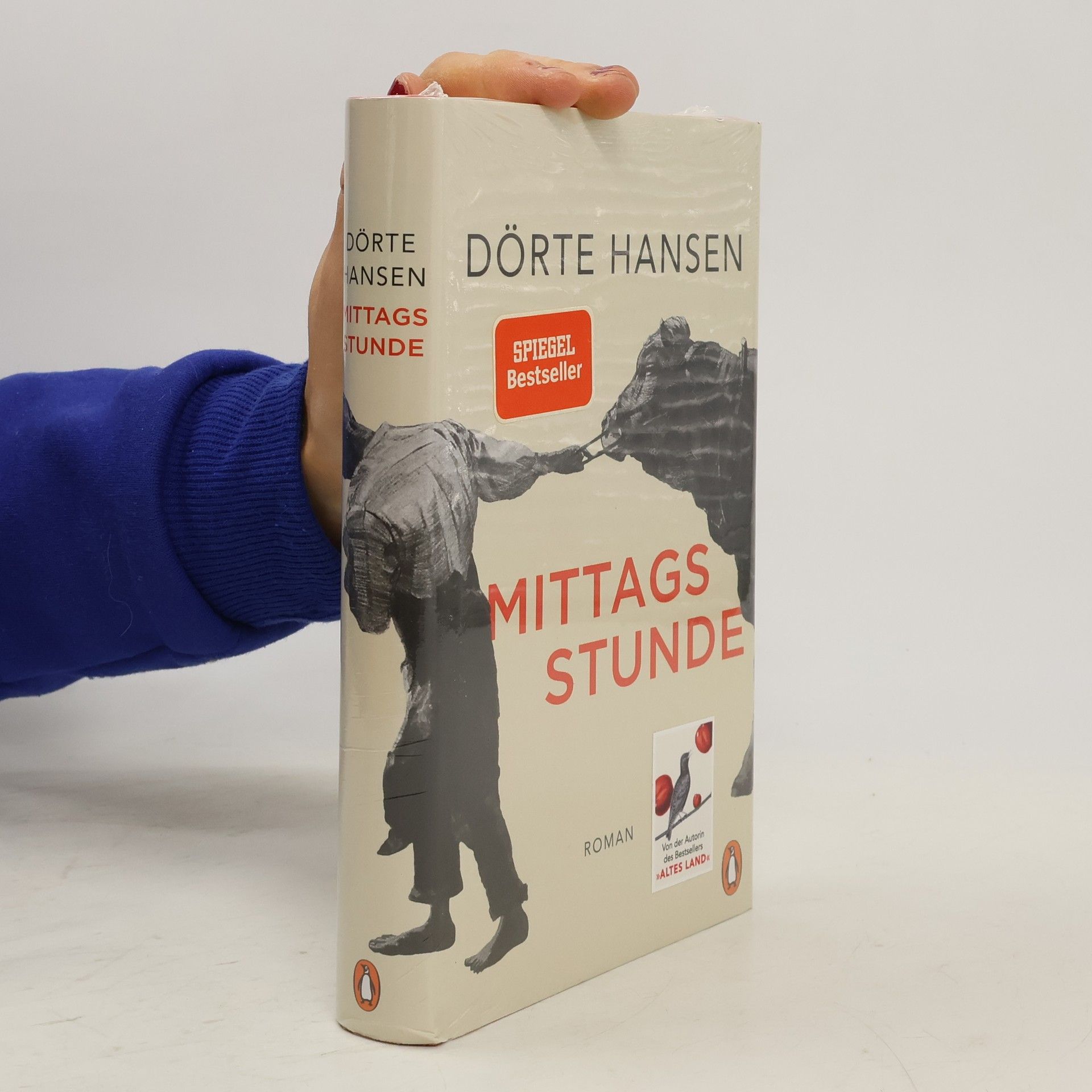 Dörte Hansen Mittagsstunde