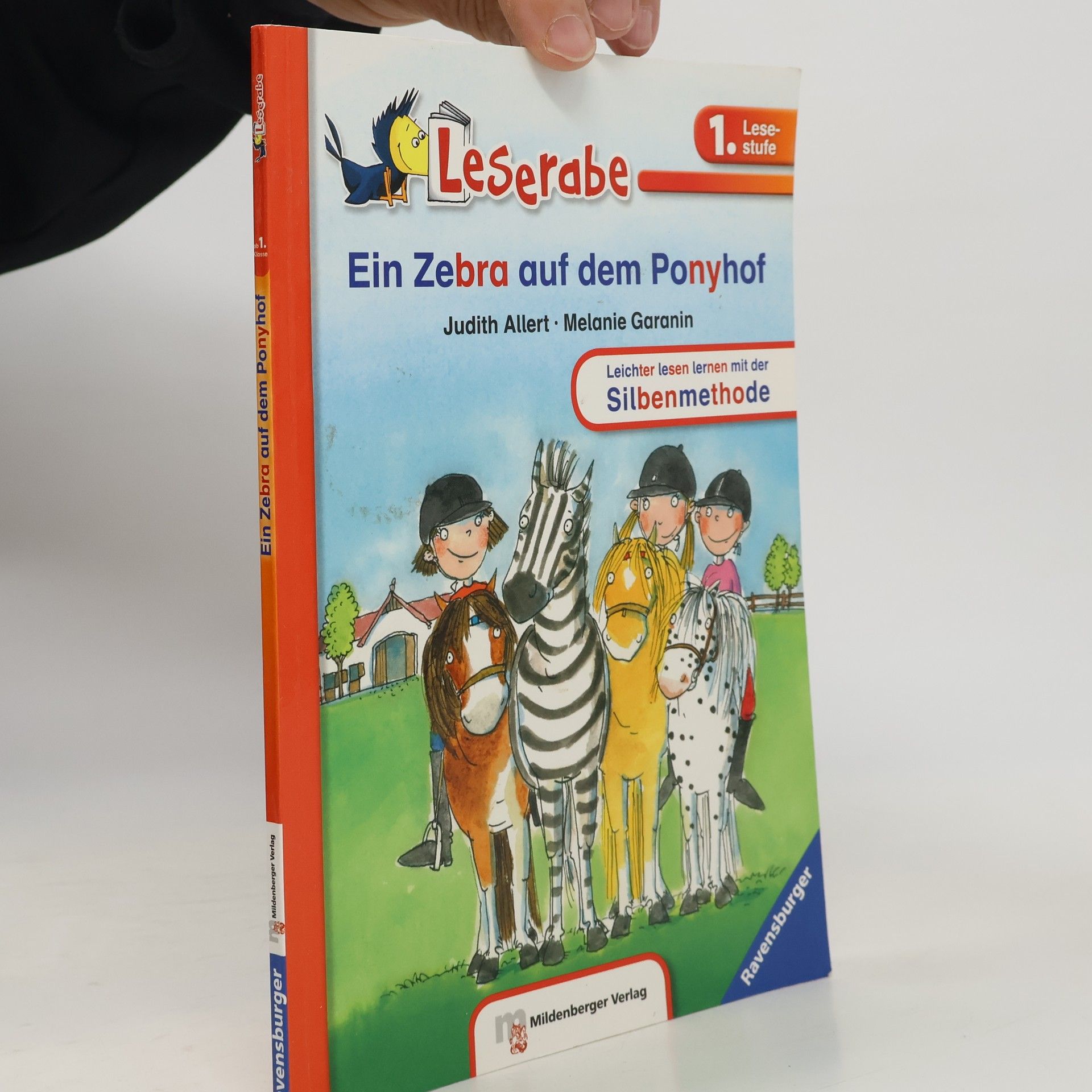 Judith Allert Ein Zebra auf dem Ponyhof