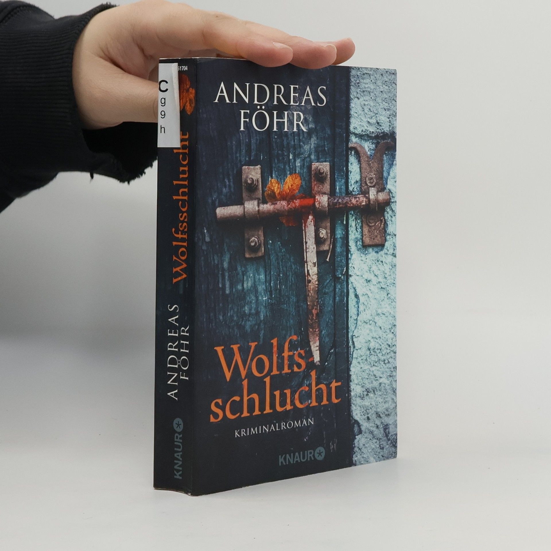 Andreas Föhr Wolfsschlucht
