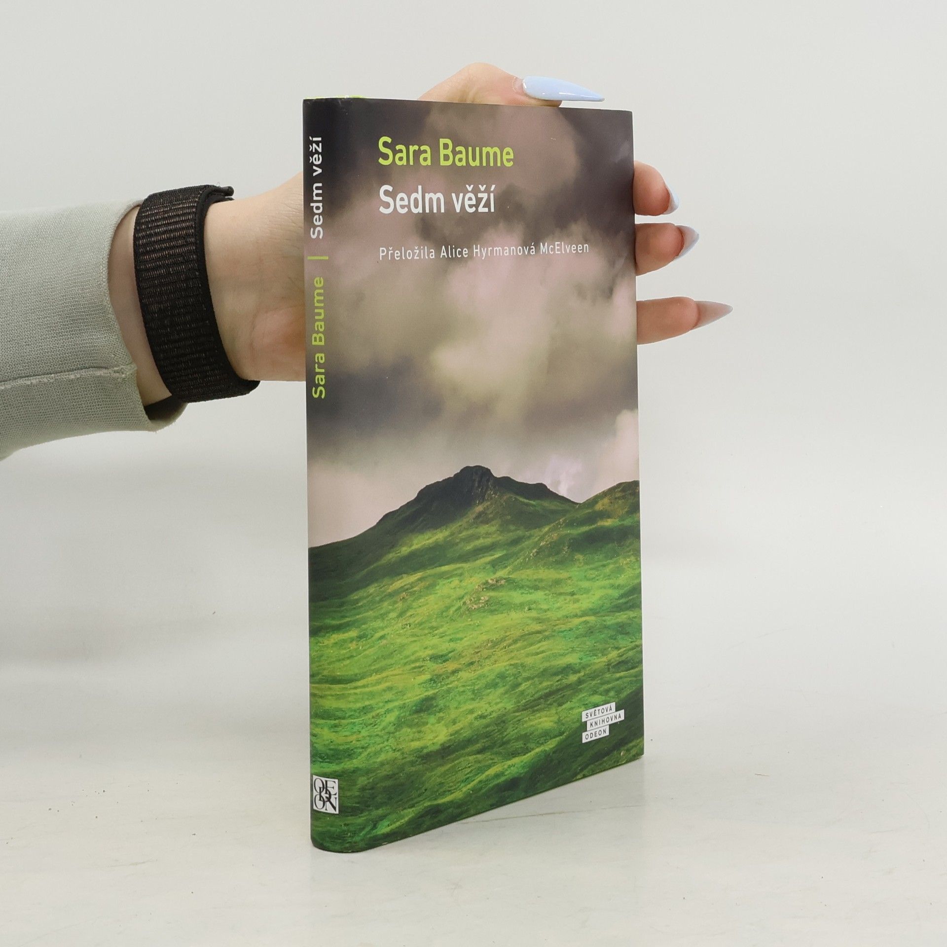 Sara Baume Sedm věží