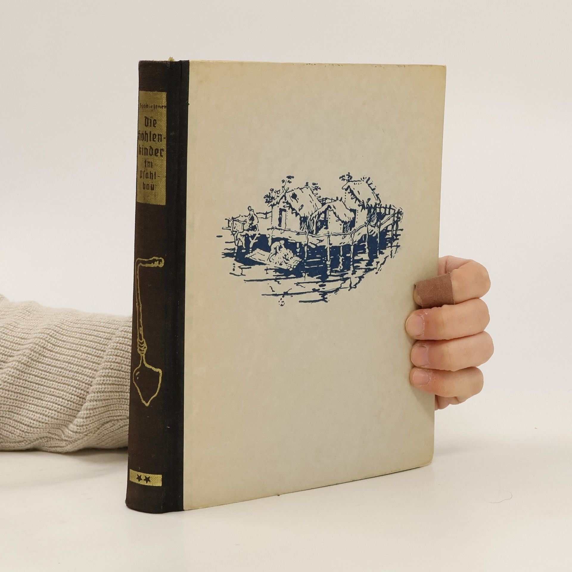 Die Höhlenkinder im Pfahlbau