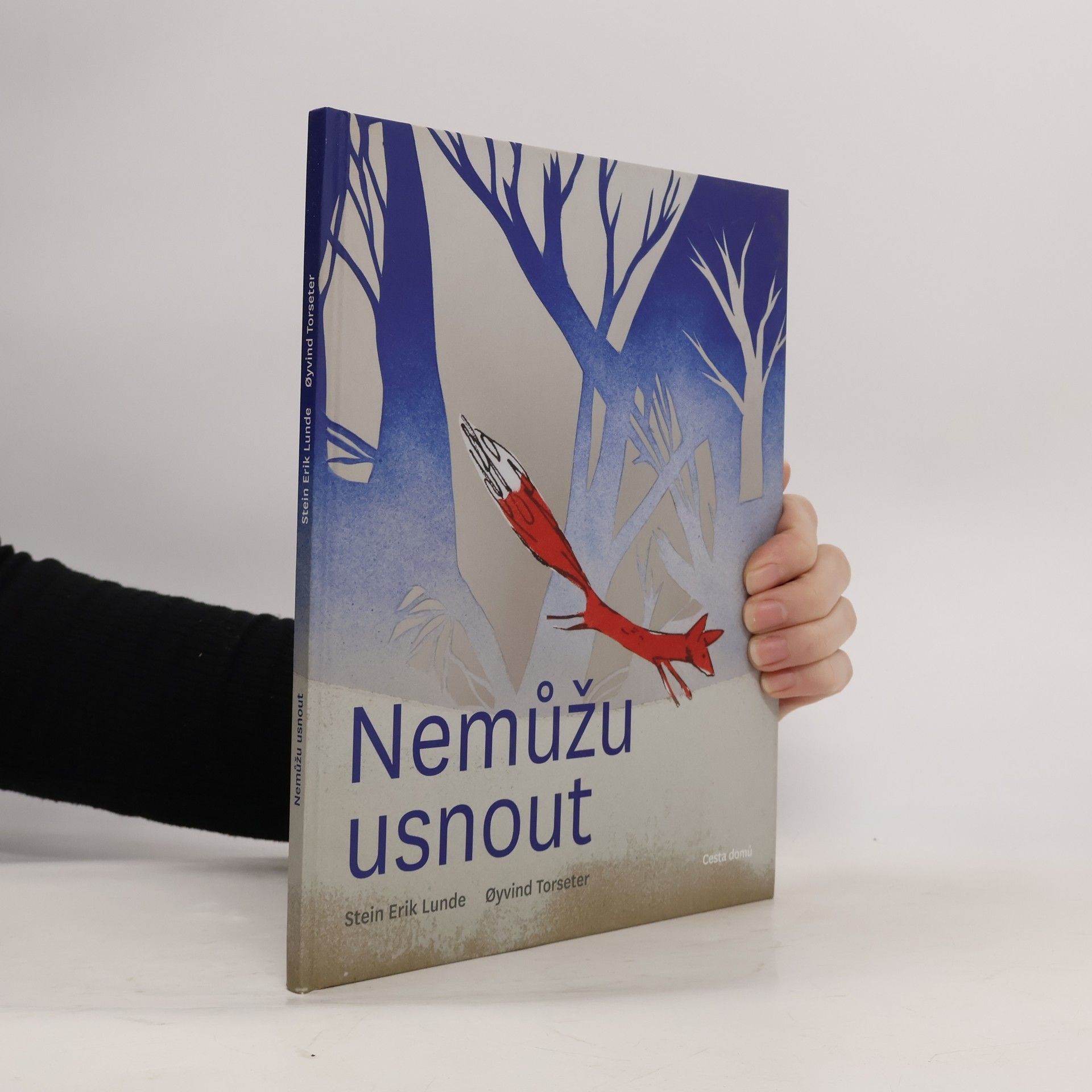 Stein Erik Lunde Nemůžu usnout