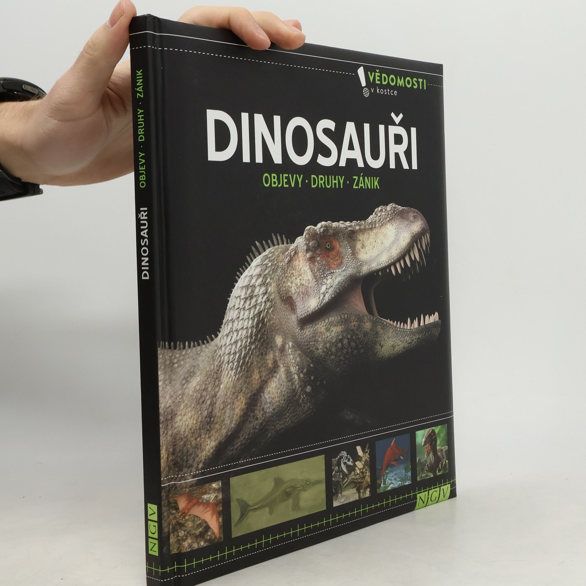 Autorenkollektiv Dinosauři