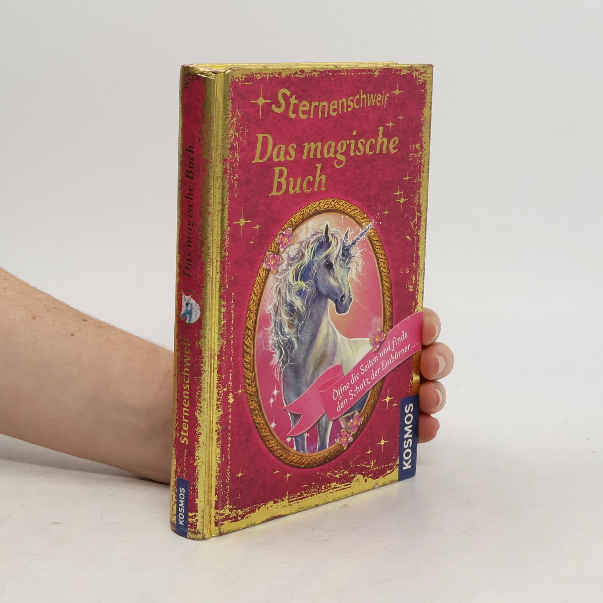 Carolin Ina Schröter Sternenschweif - das magische Buch