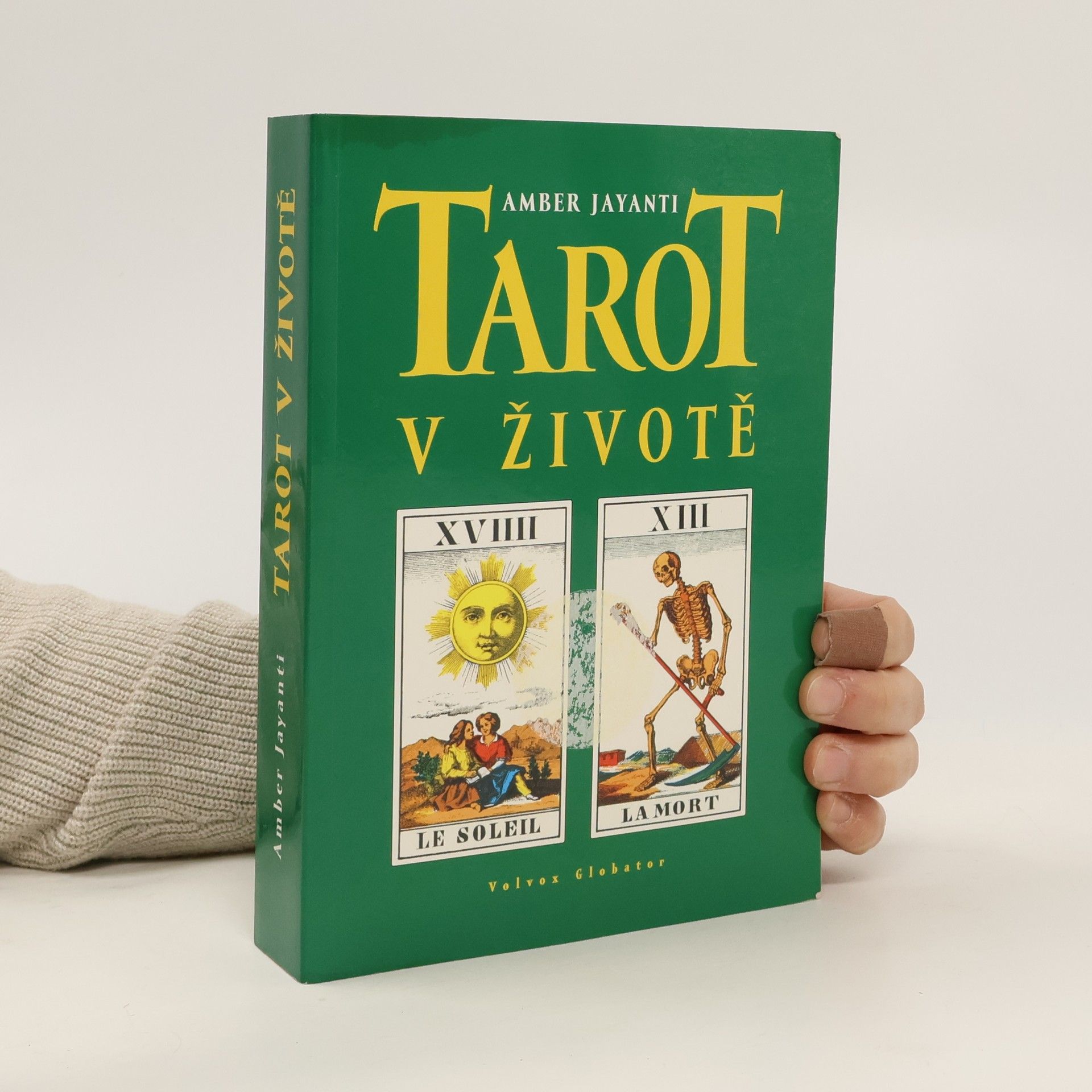 Amber Jayanti Tarot v životě