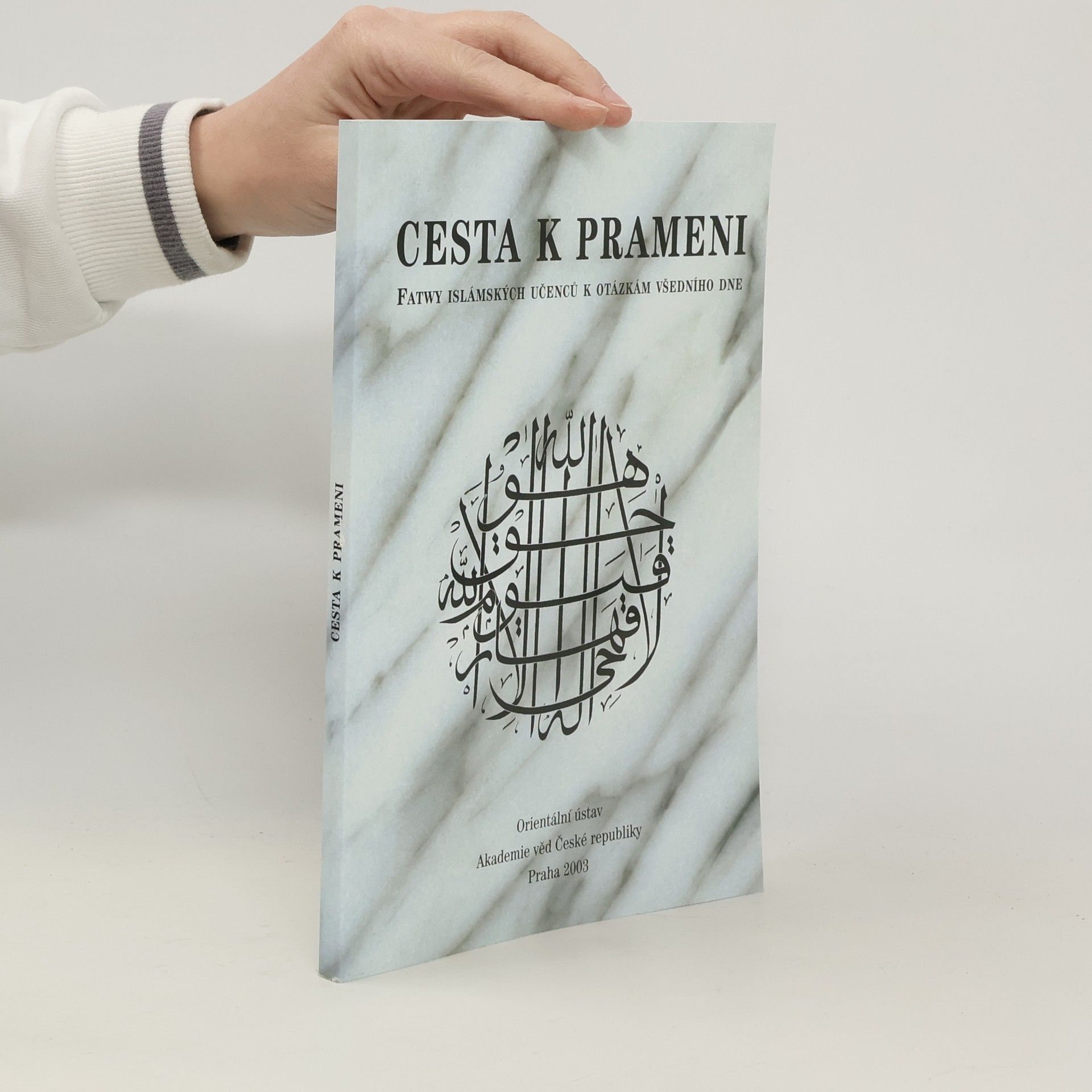 Cesta k prameni: Fatwy islámských učenců k otázkám všedního dne