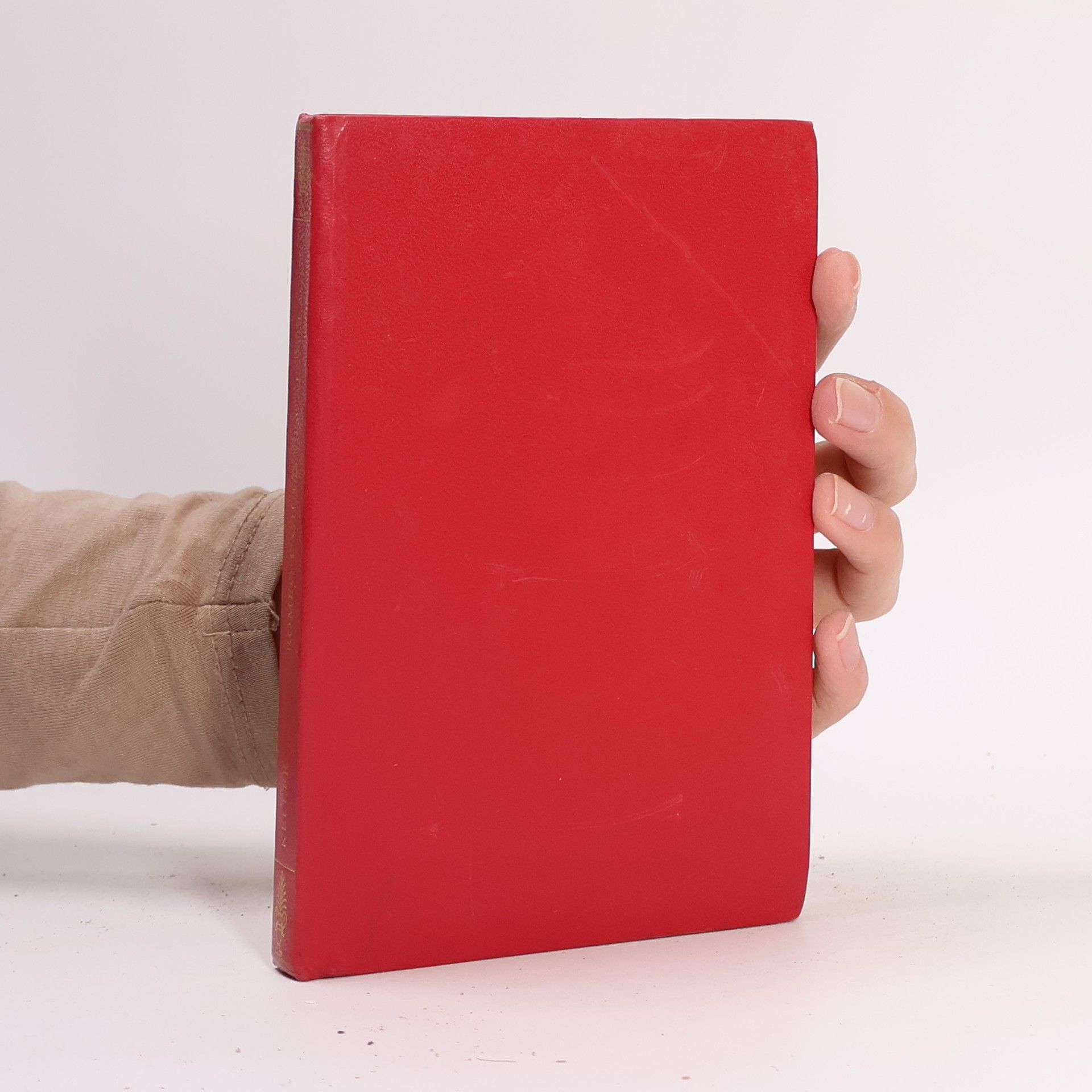 Romeo e Giulietta al villaggio