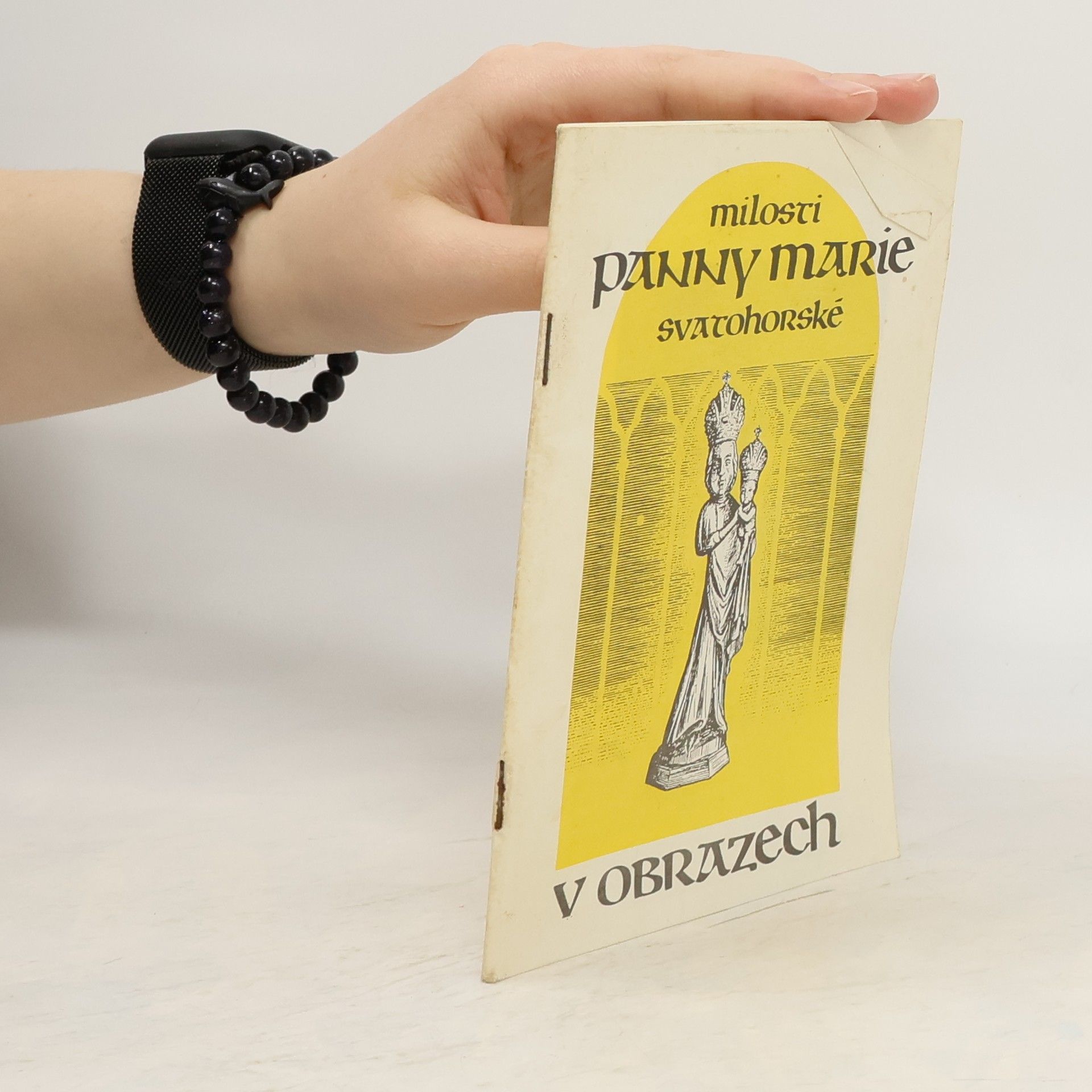 Kolektív autorov Milosti Panny Marie Svatohorské v obrazech