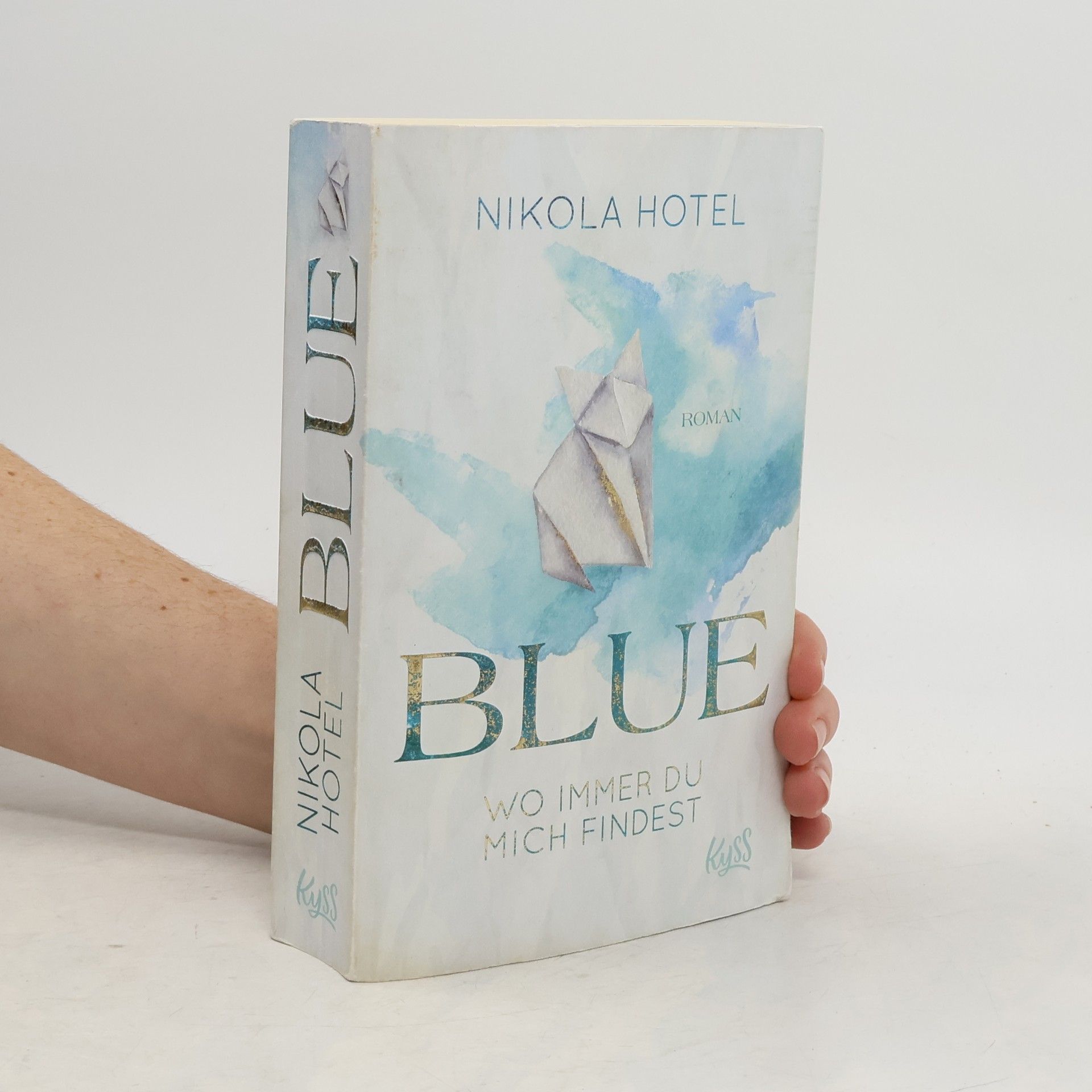 Nikola Hotel Blue. Wo immer du mich findest